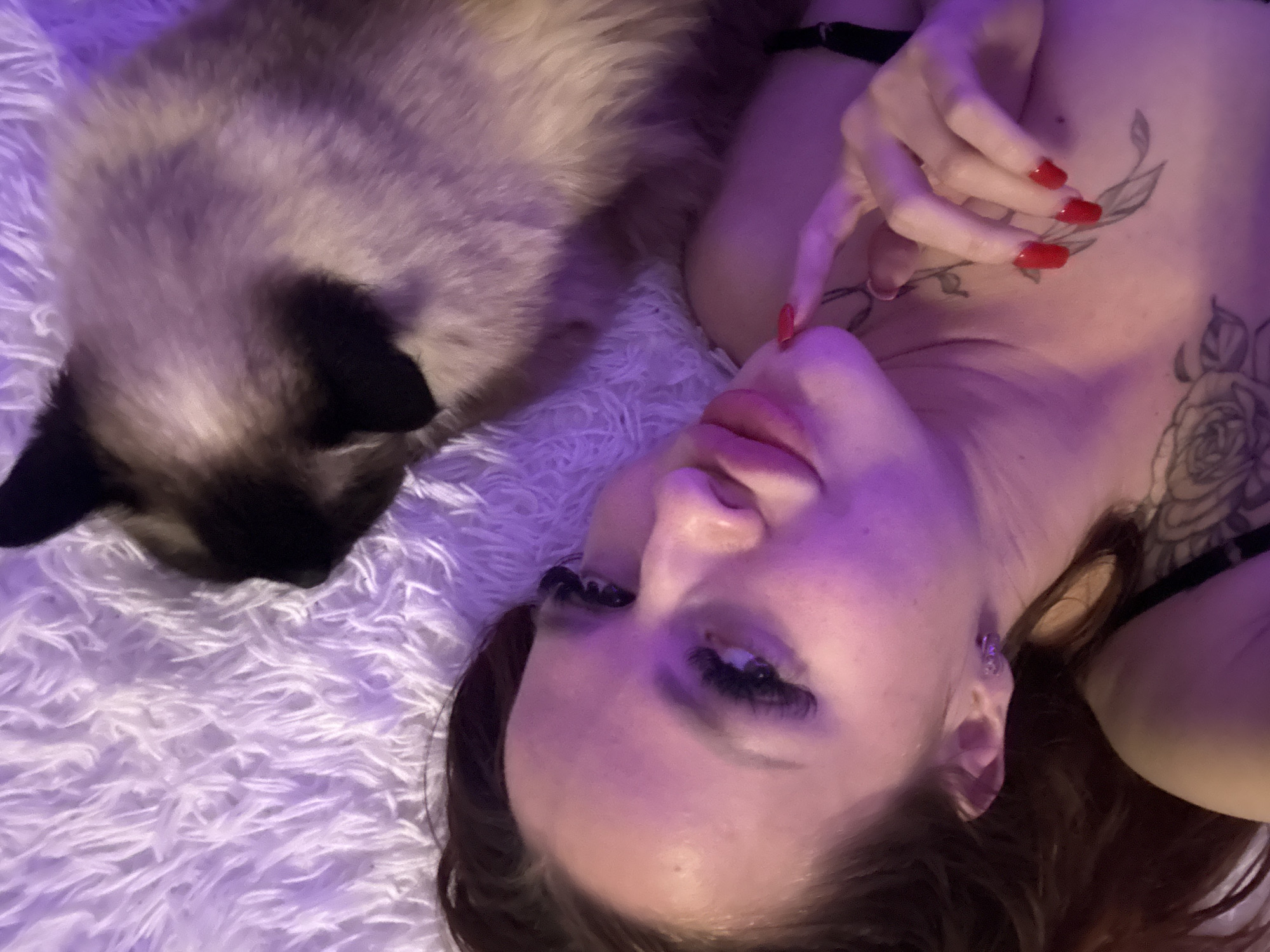 Woman relaxes at home with cat in purple-lit bedroom