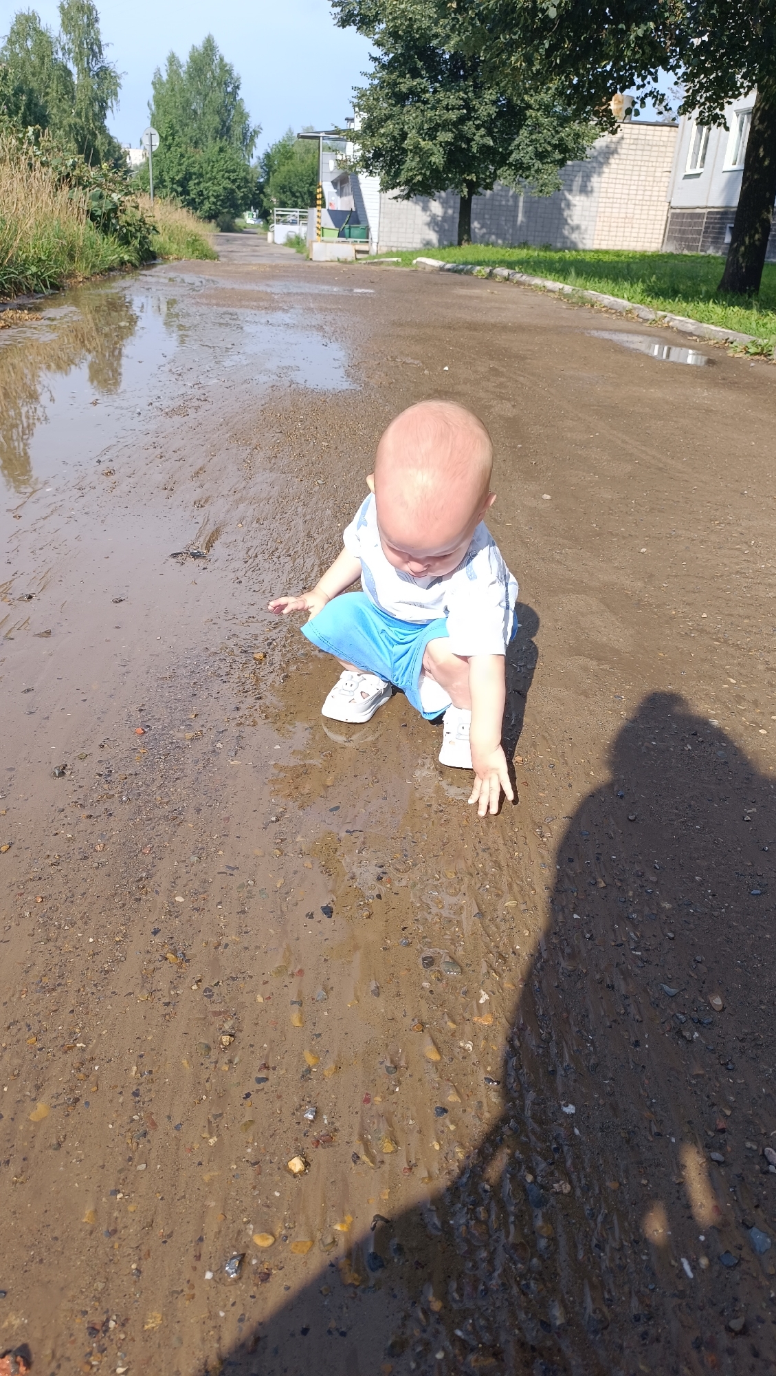 Casual summer morning in Chaikovsky, cats and flood damage included
