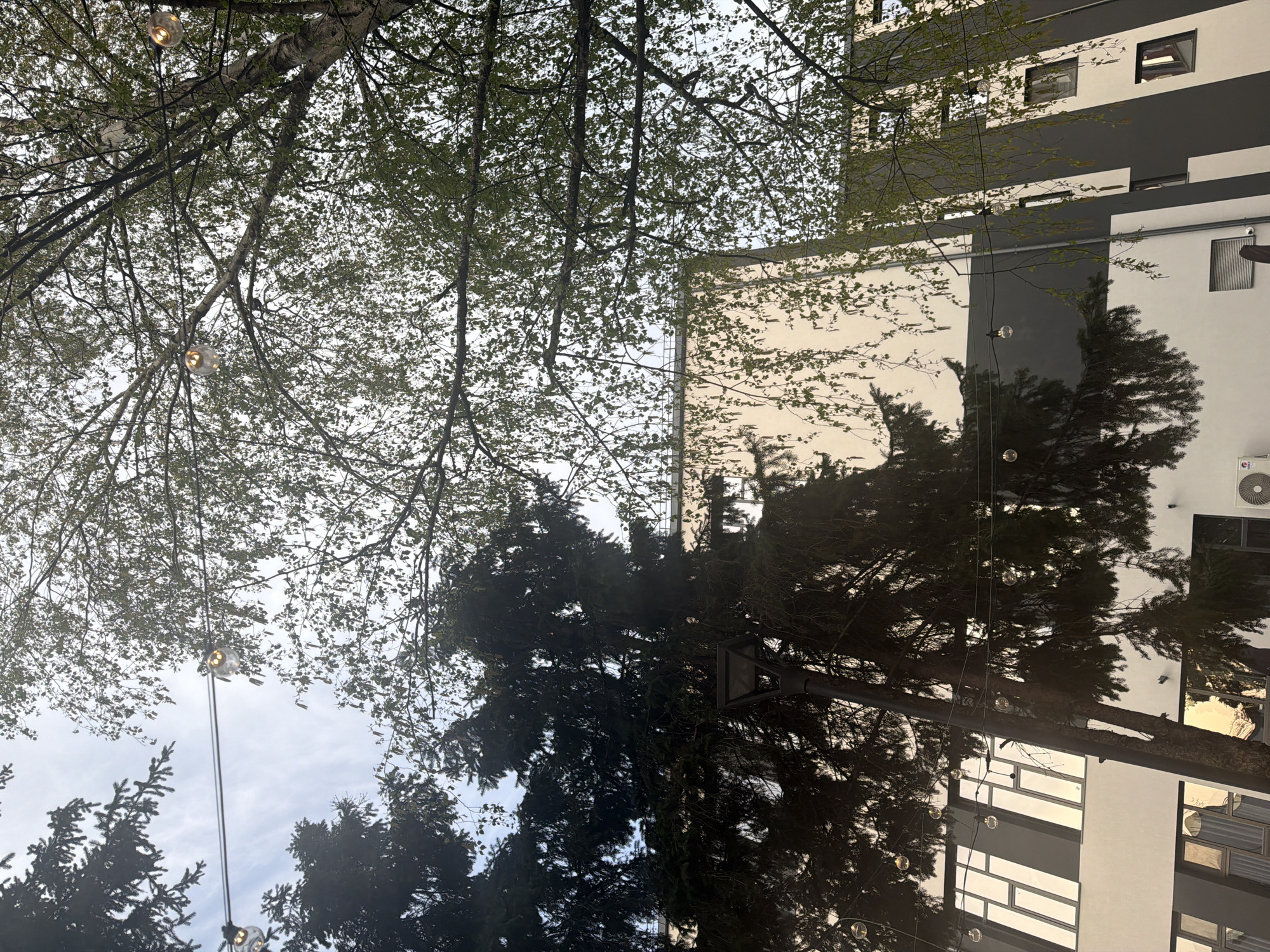Spring foliage and string lights captured beneath building in Plovdiv