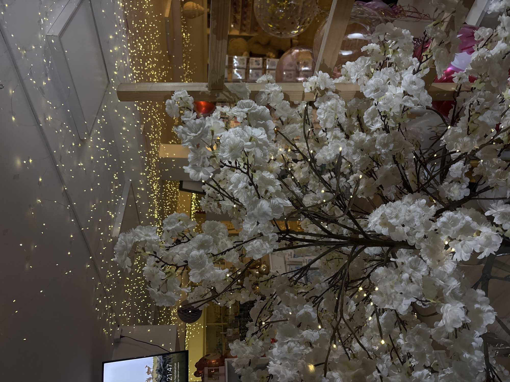 Evening stroll through illuminated Sofia captures festive decorations and shadows