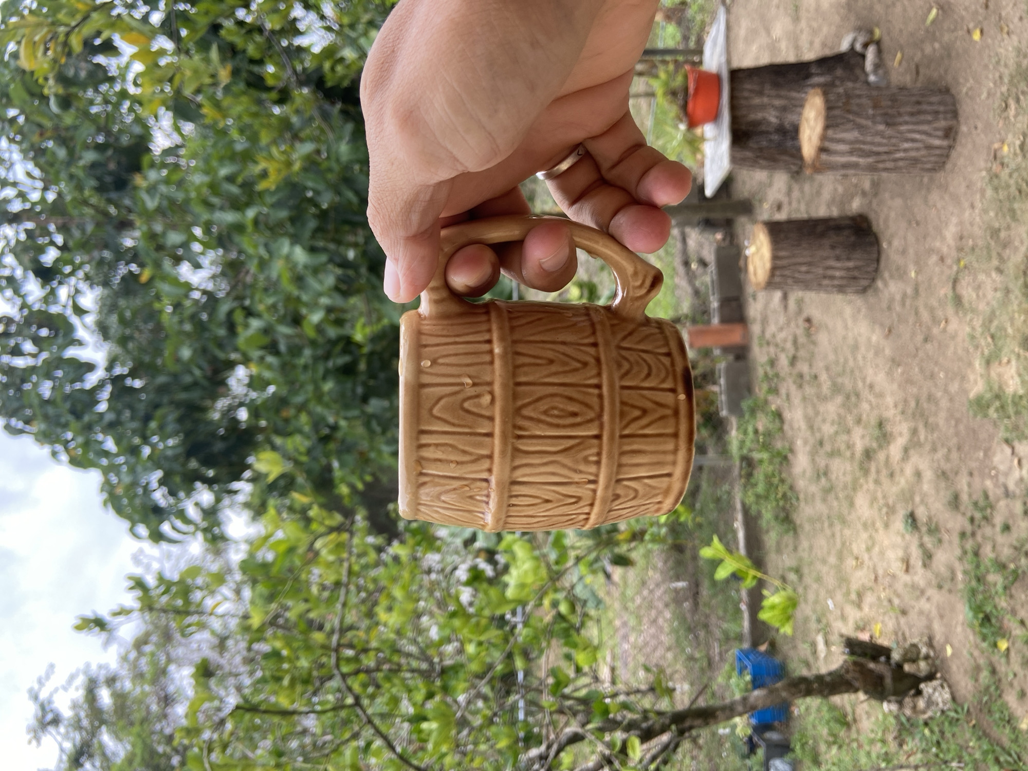 Person holds ceramic mug outdoors in Los Velásquez, Venezuela