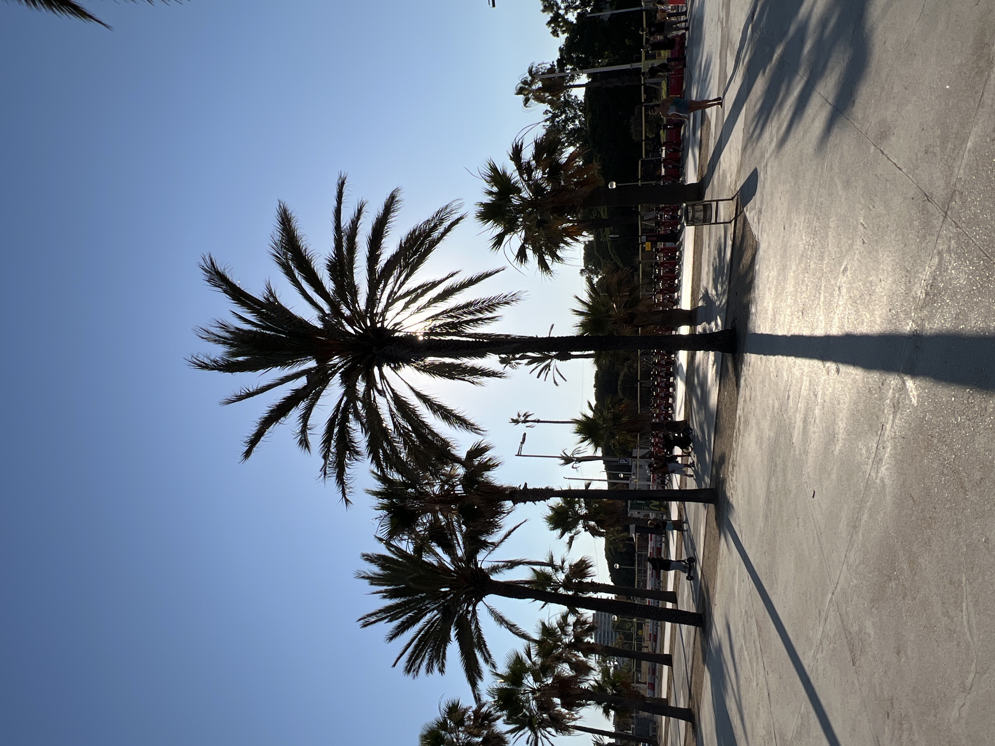 Sun and palm shadows stretch across a Barcelona promenade