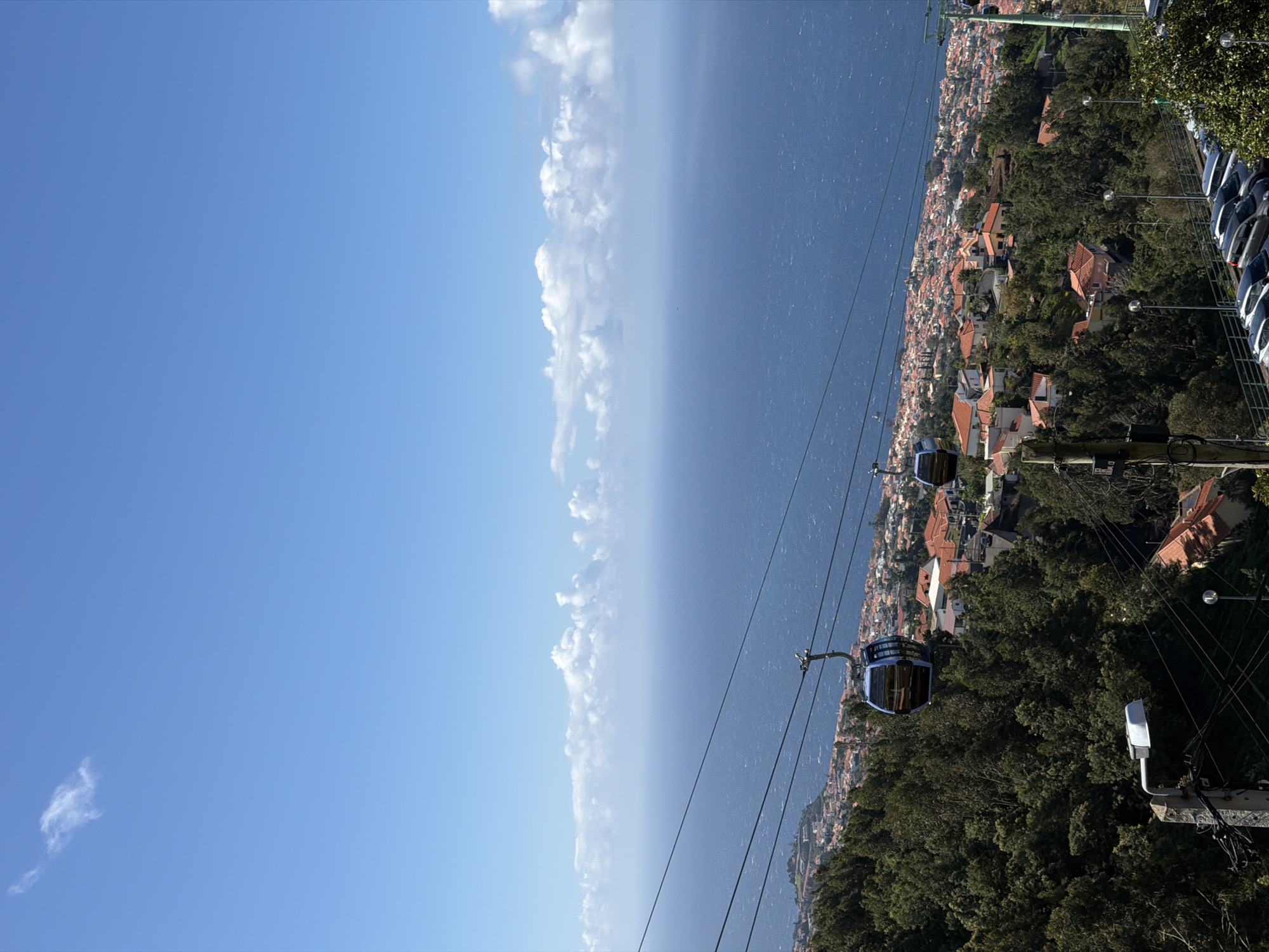 Aerial view of Funchal captured from cable car vantage point