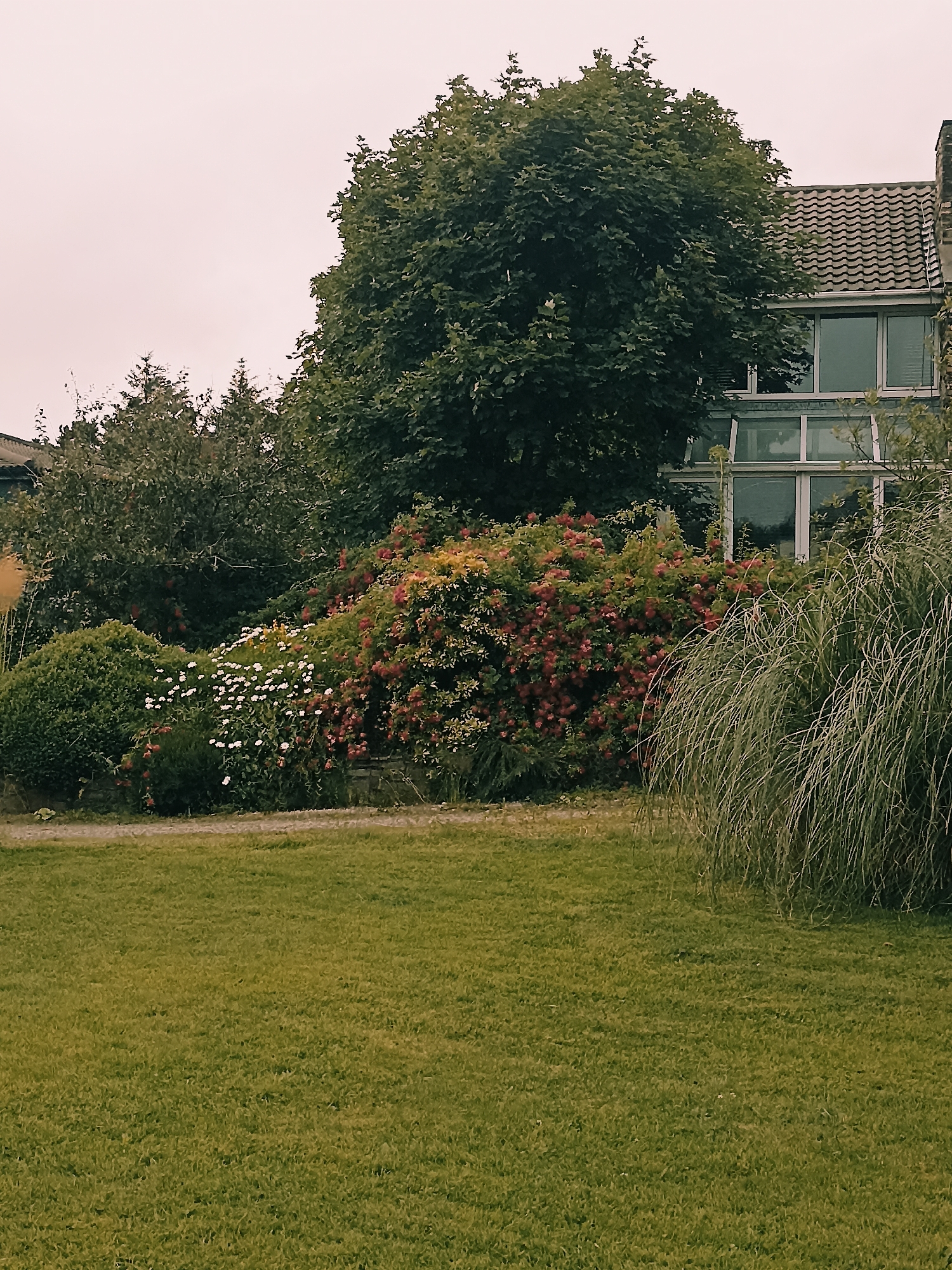 Annagry village in full bloom on a grey July evening