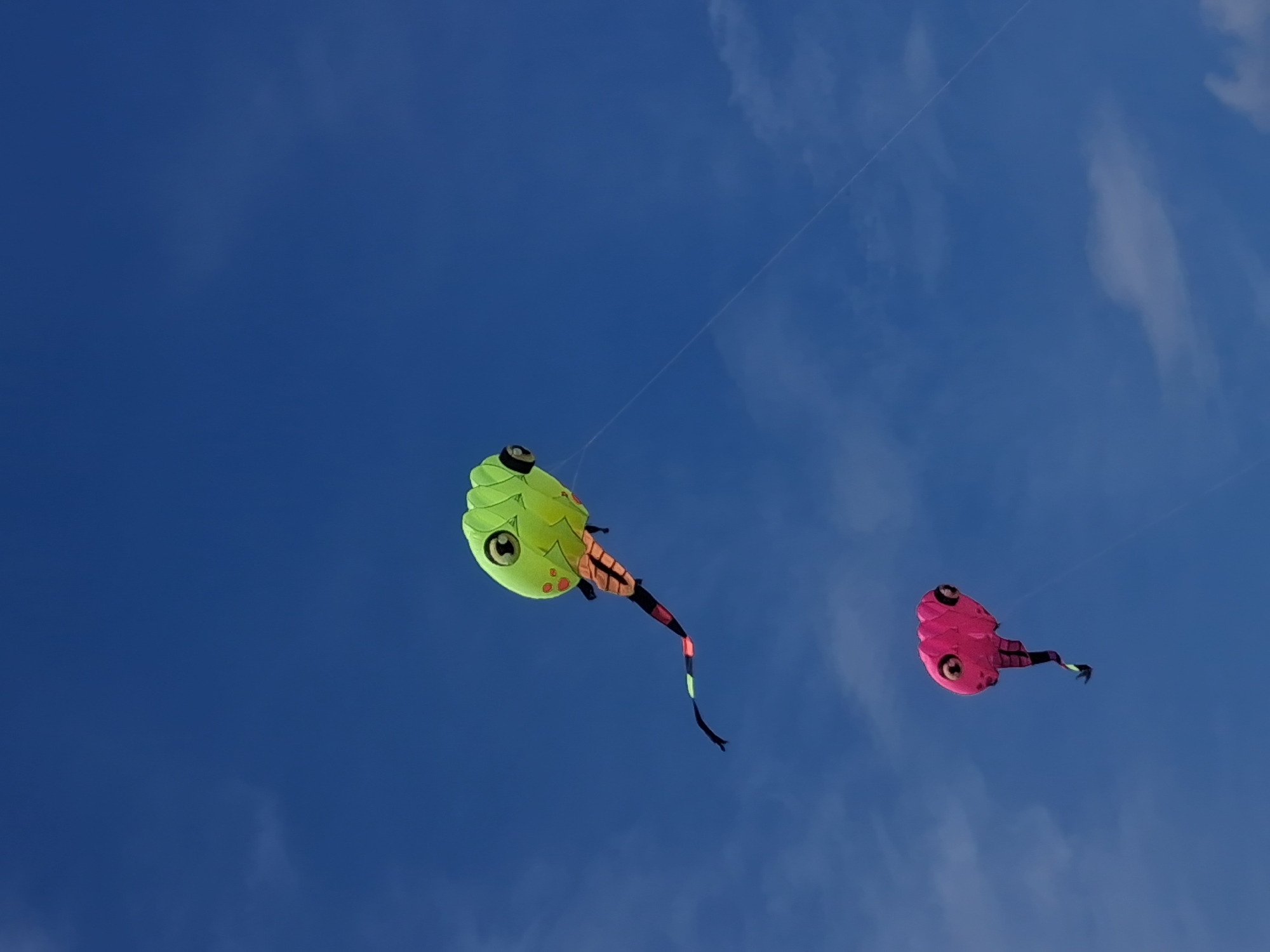 Kites, boards, and jet skis on a calm Vietnamese beach morning