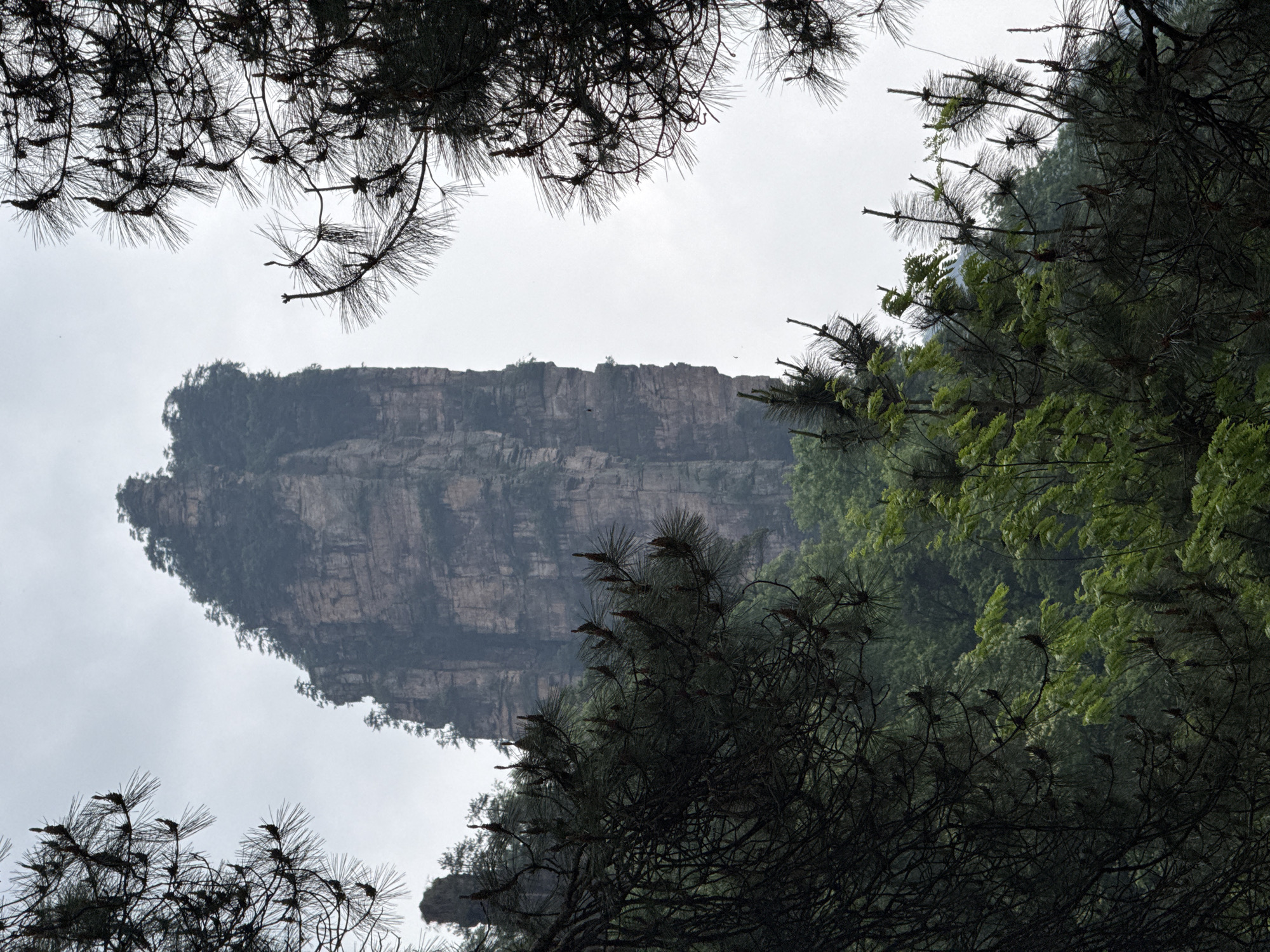 Layered rock formation documented in Luoguta forest landscape