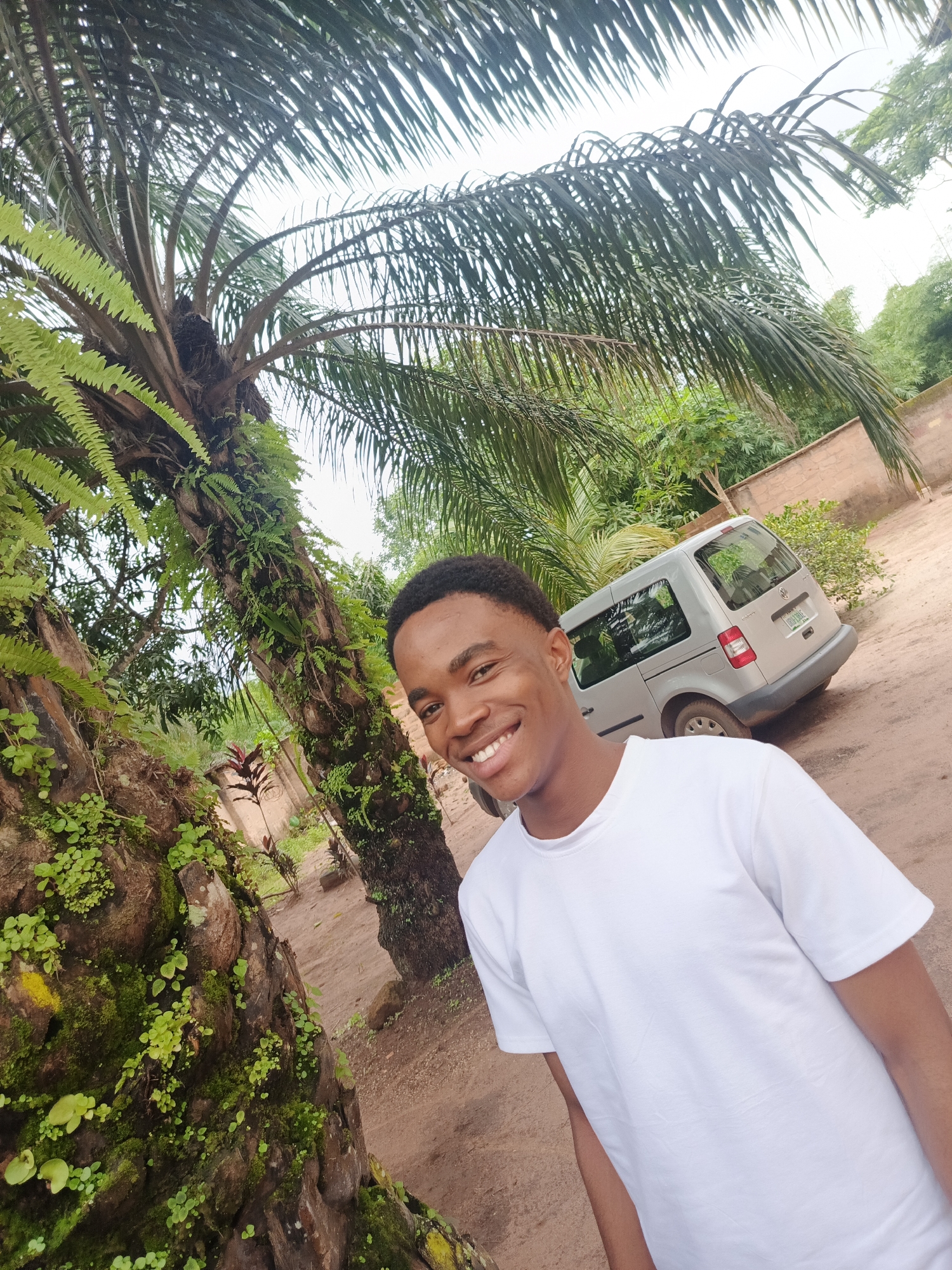 Afternoon snapshots around a school and palm trees in Amurie, Nigeria