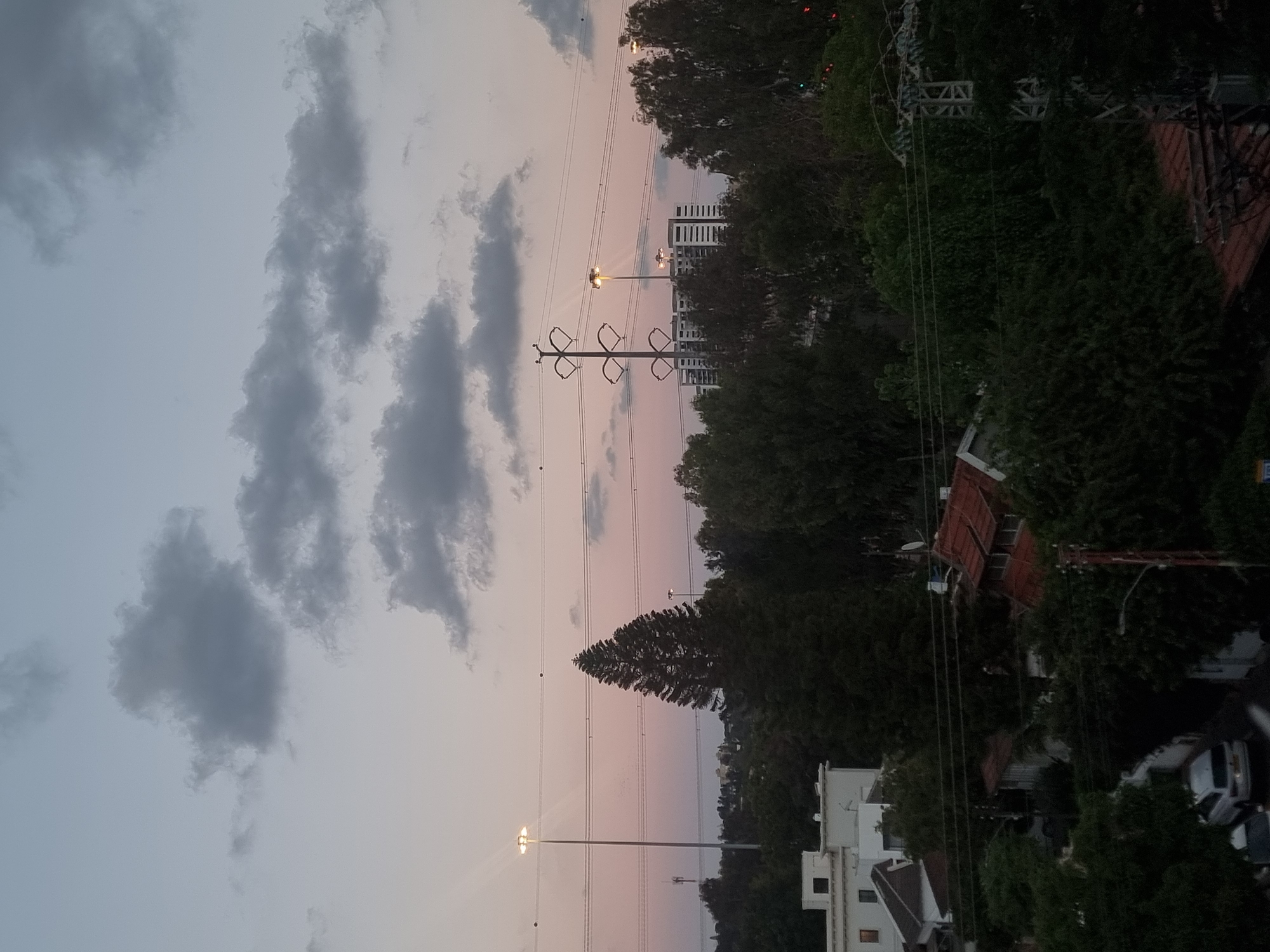 Evening moments captured in Ramat Gan: stormy skies, playful cat