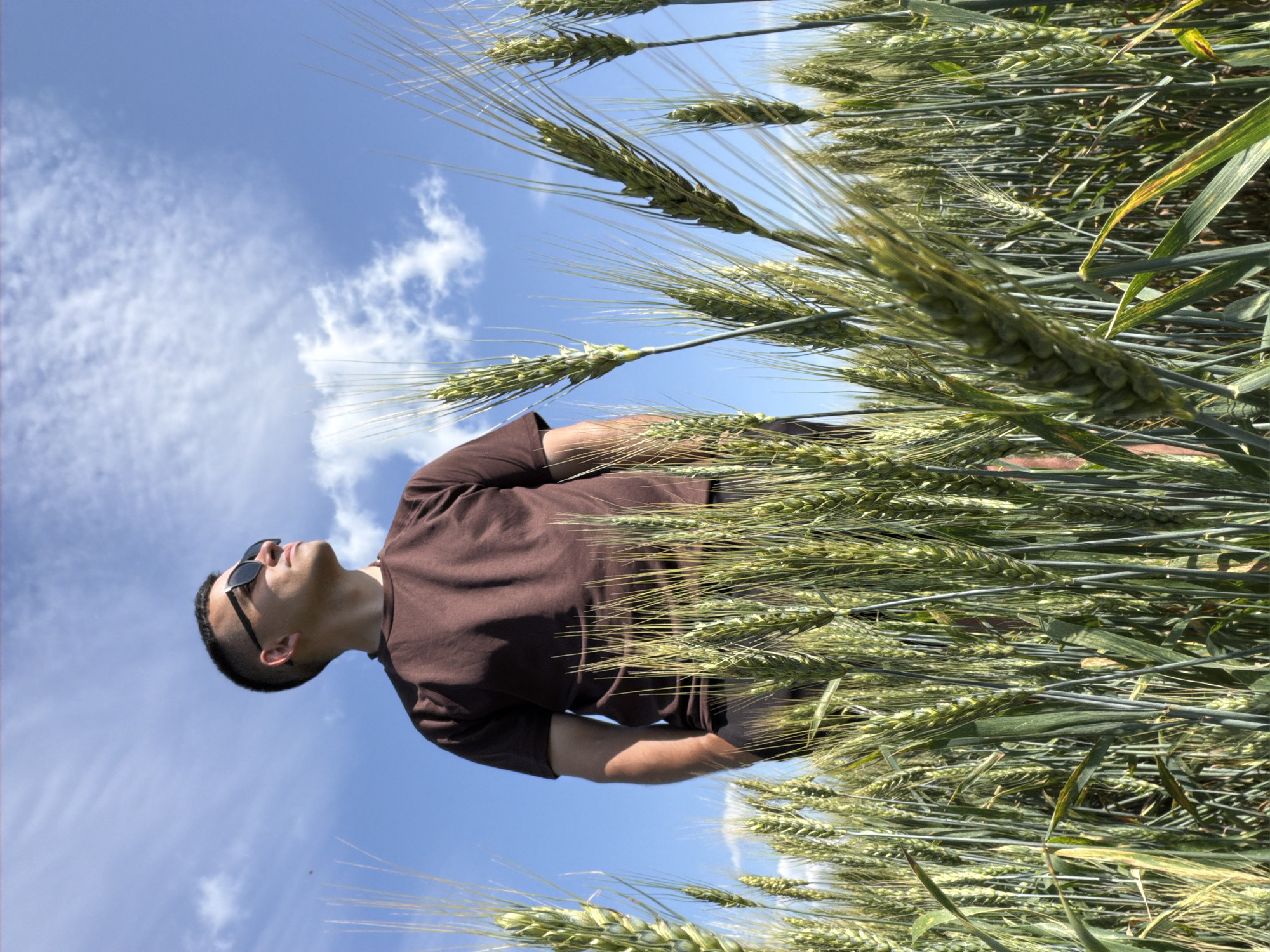 Posing in a Russian wheat field on a sunny summer morning