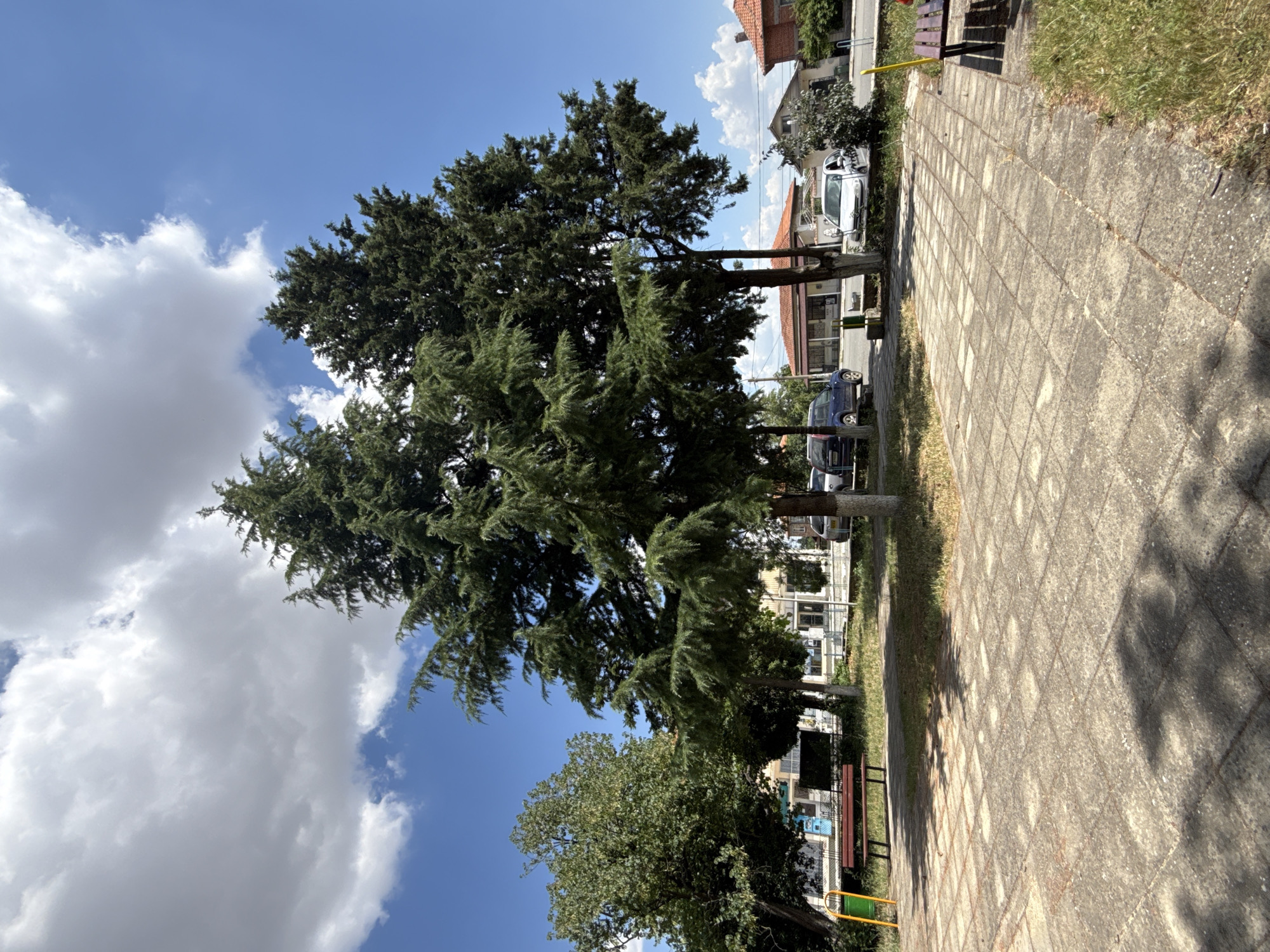 Lazy summer morning at a park in Vinarsko, Bulgaria