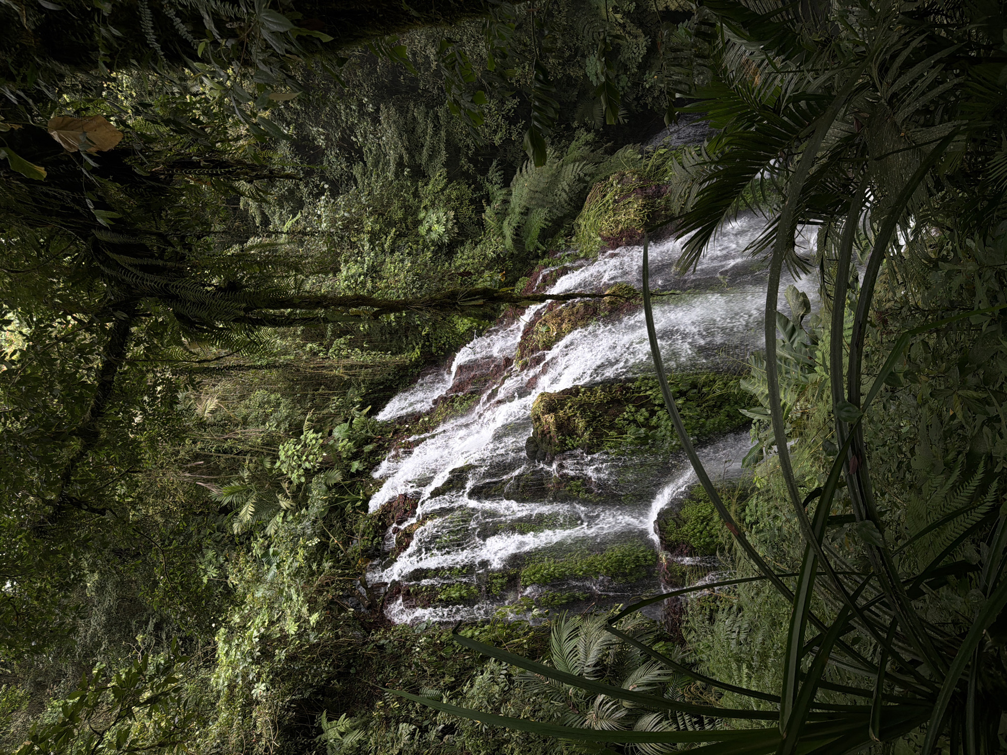 Tropical waterfall documented in Sukasada rainforest, Indonesia