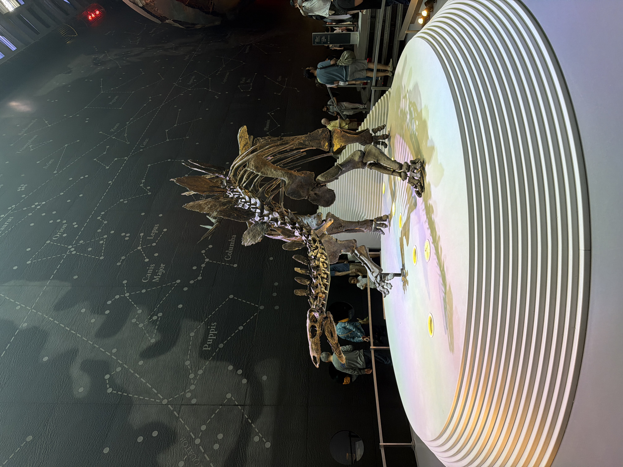 Visitor documents dinosaur exhibits at London Natural History Museum