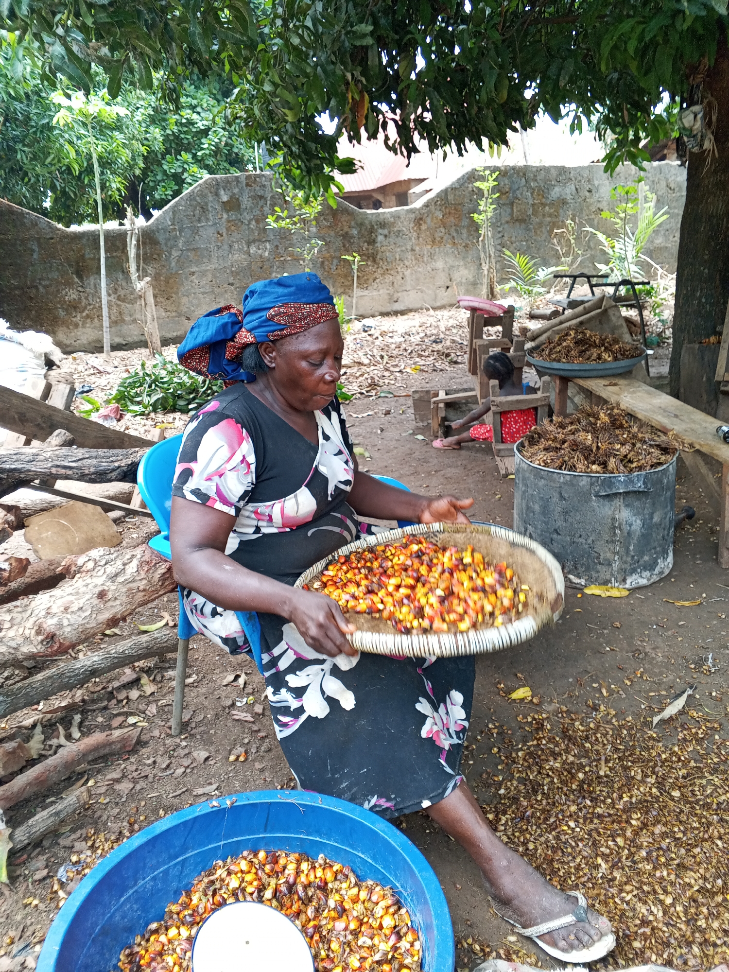 Elderly woman with fruit tray observed in outdoor setting