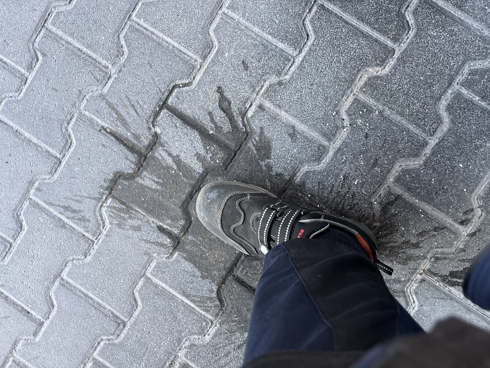 Ground-level moments at a Mannheim loading dock, August 2026