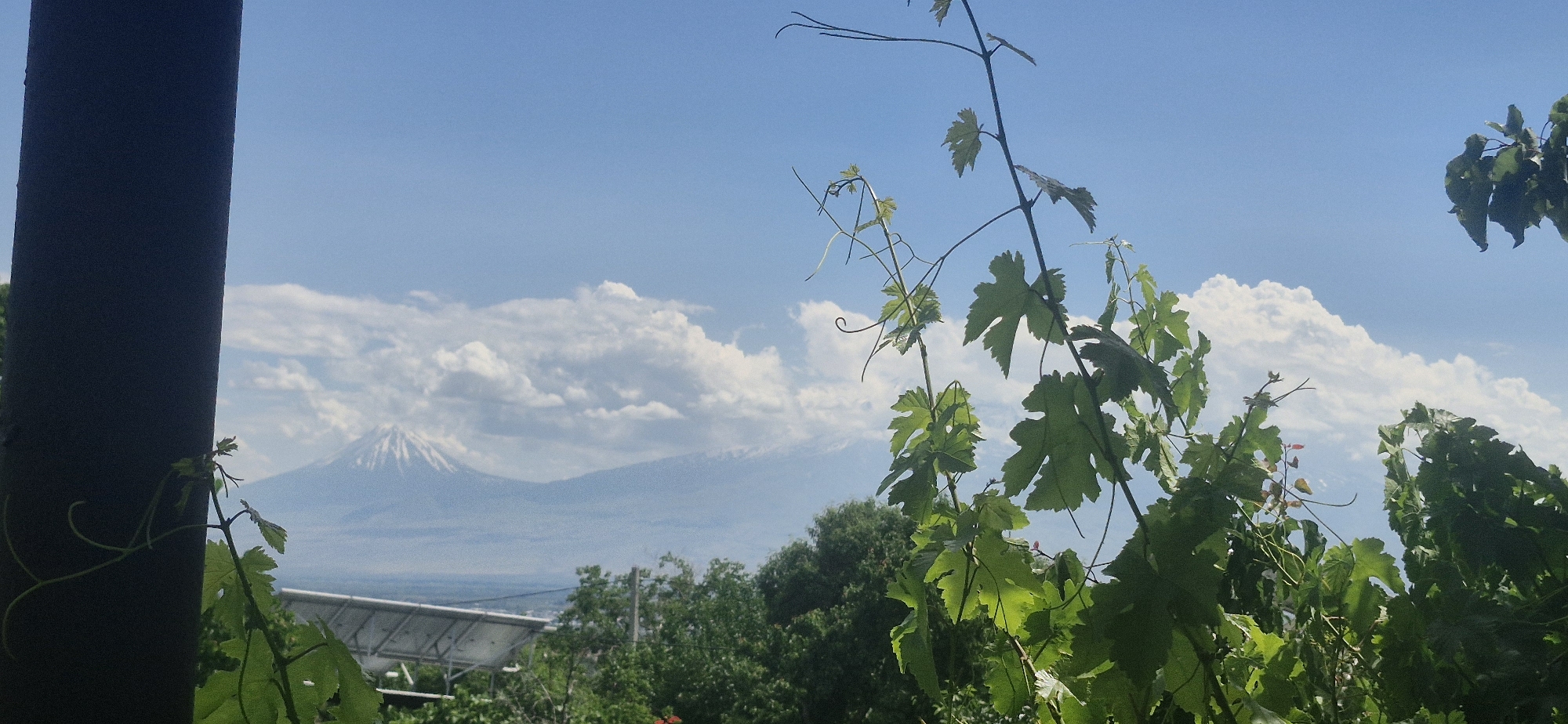 Art, greenery, and a slow morning in Yerevan
