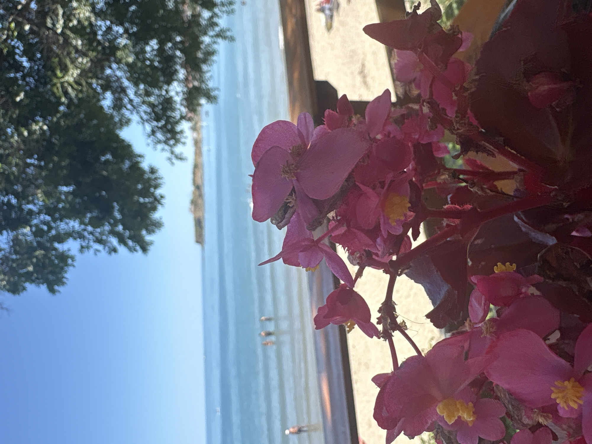 Lazy summer morning at Tsarevo's beach and harbor