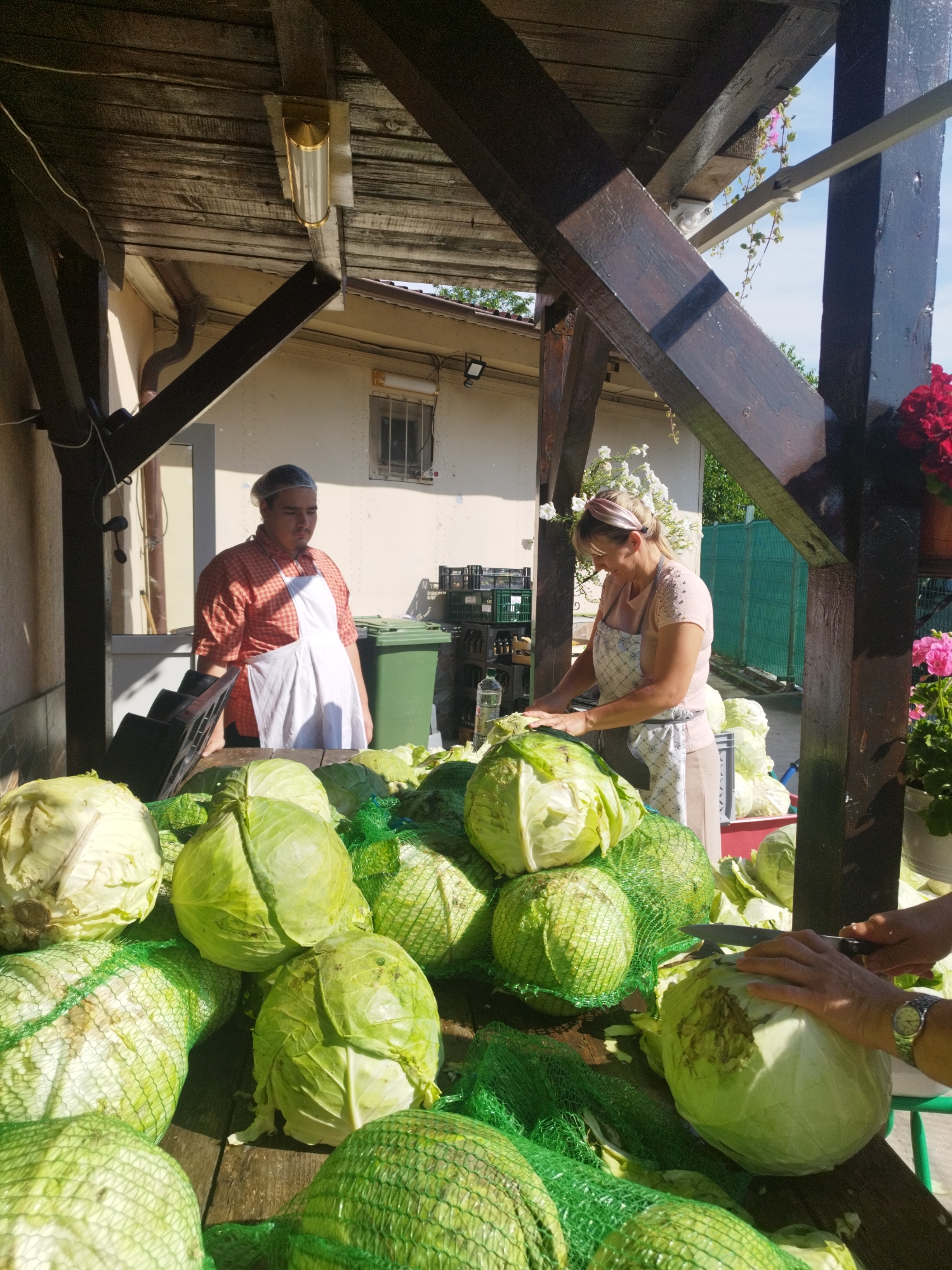 Kids, cabbages, and a sleepy dog in Bucharest