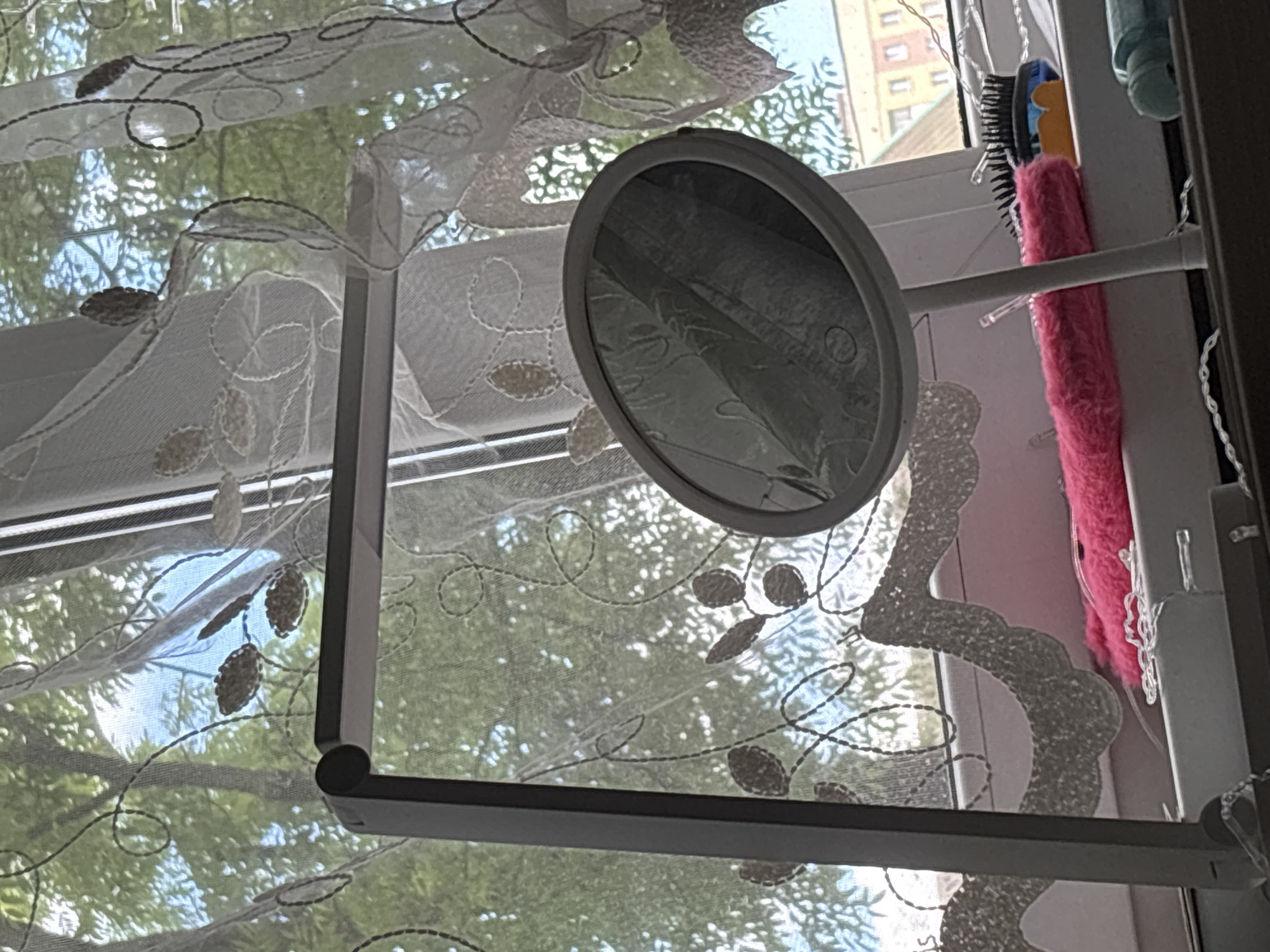 Pigeon visits apartment windowsill in Minsk