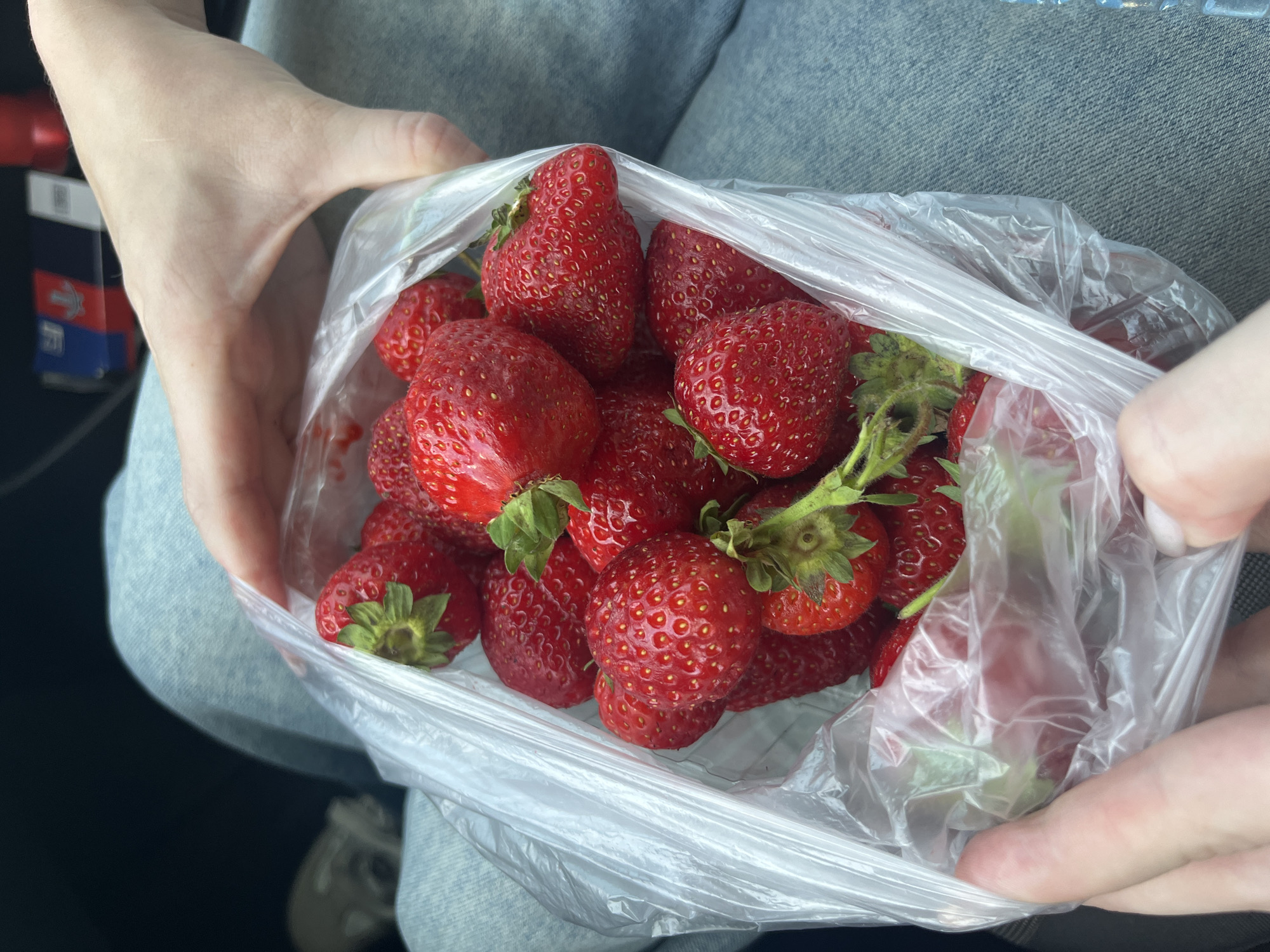 Fresh strawberries collected in Васильево, Russia