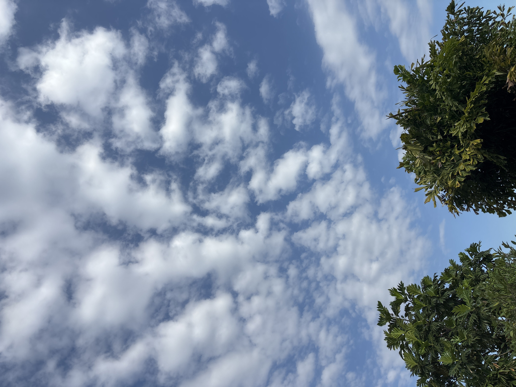 Clear skies with scattered clouds observed in Mengwi, Indonesia