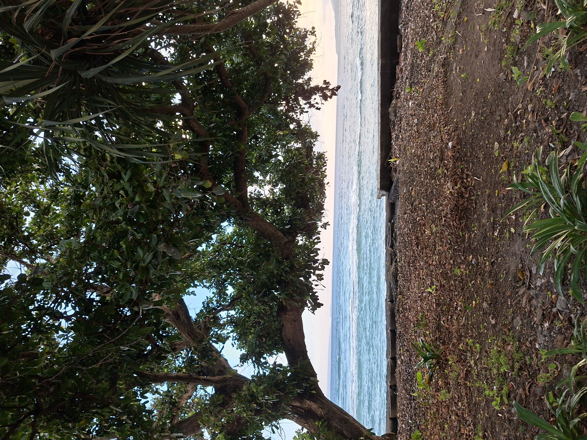 Morning tropical scenes documented across Karangasem, Indonesia coastline
