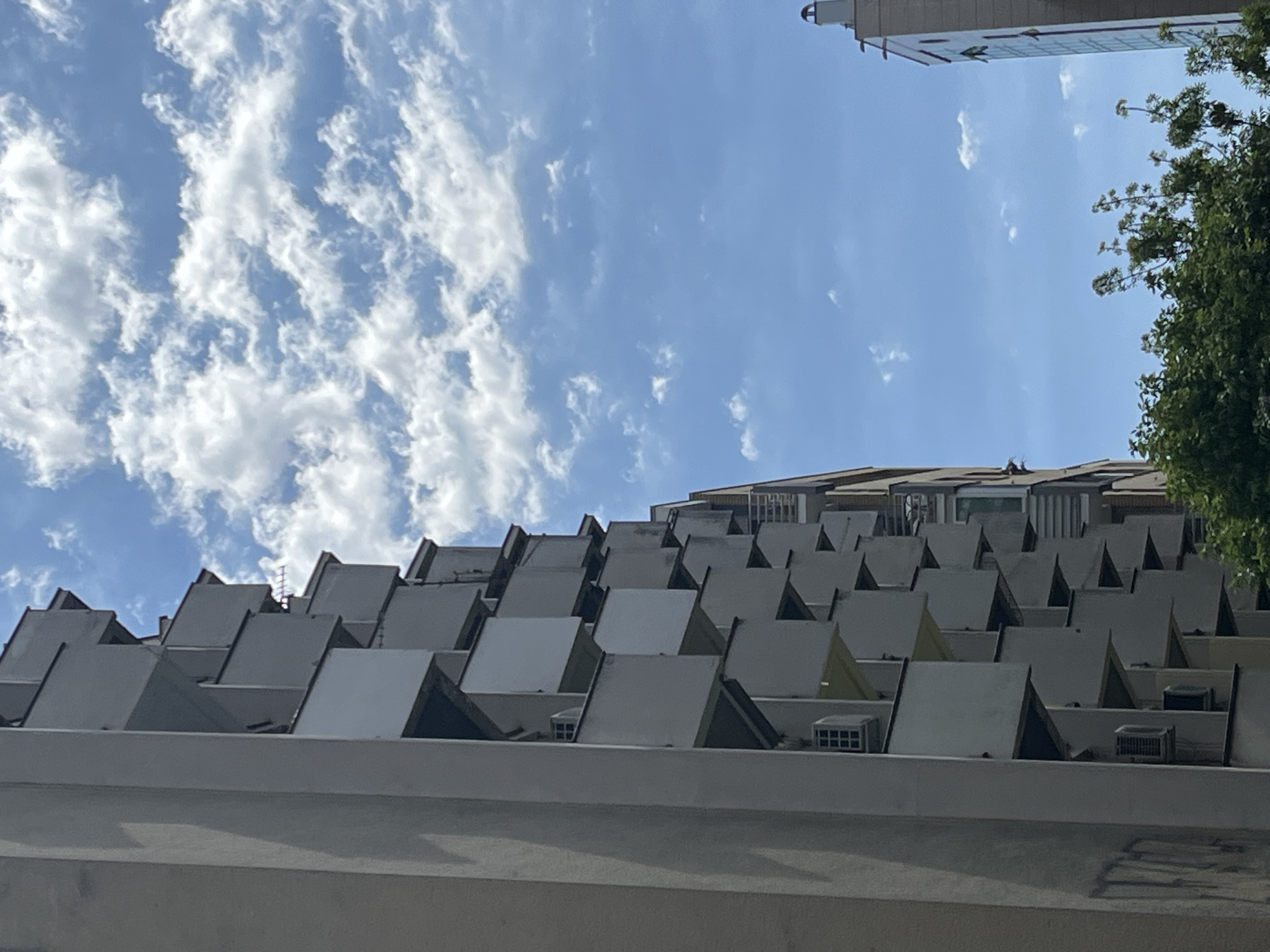 Woman photographed near pyramid-roofed building in Novi Sad