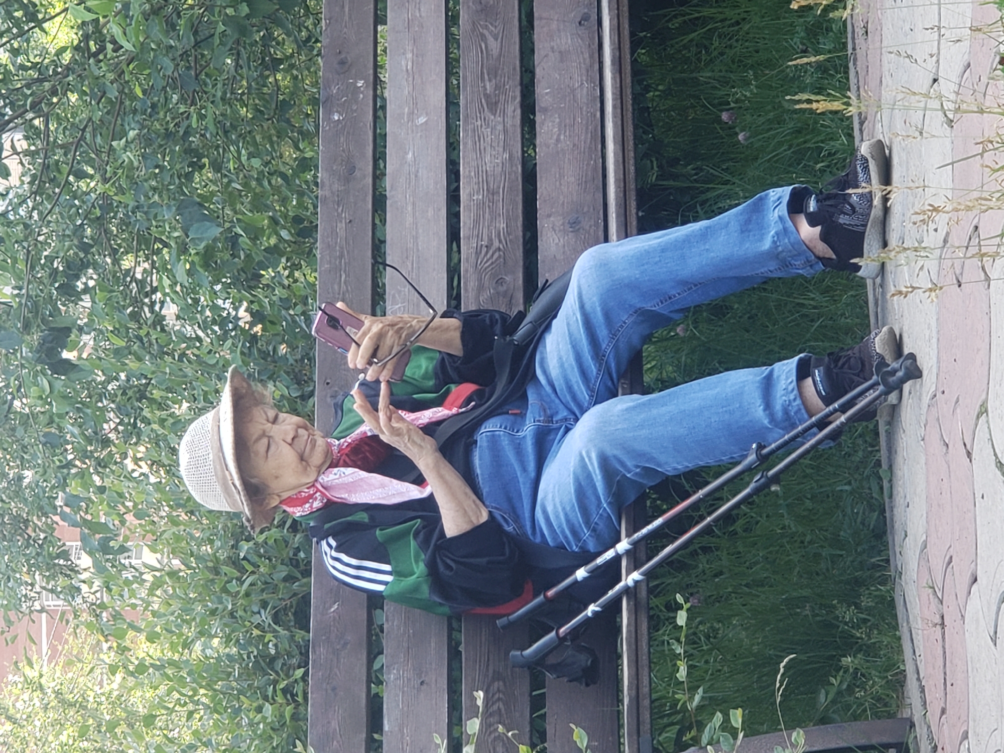 Scrolling through a phone on a park bench