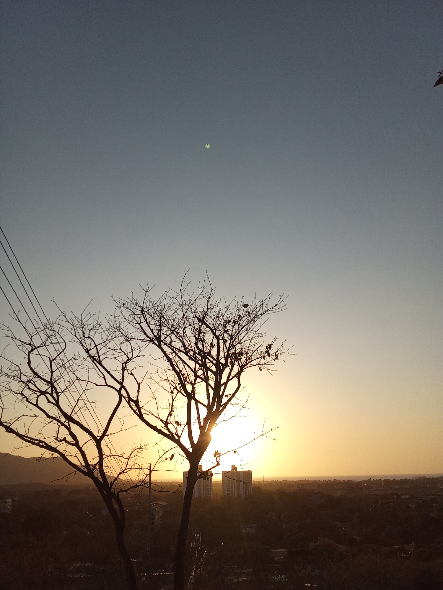 Witness documents sunset landscape and vegetation in Juan Griego