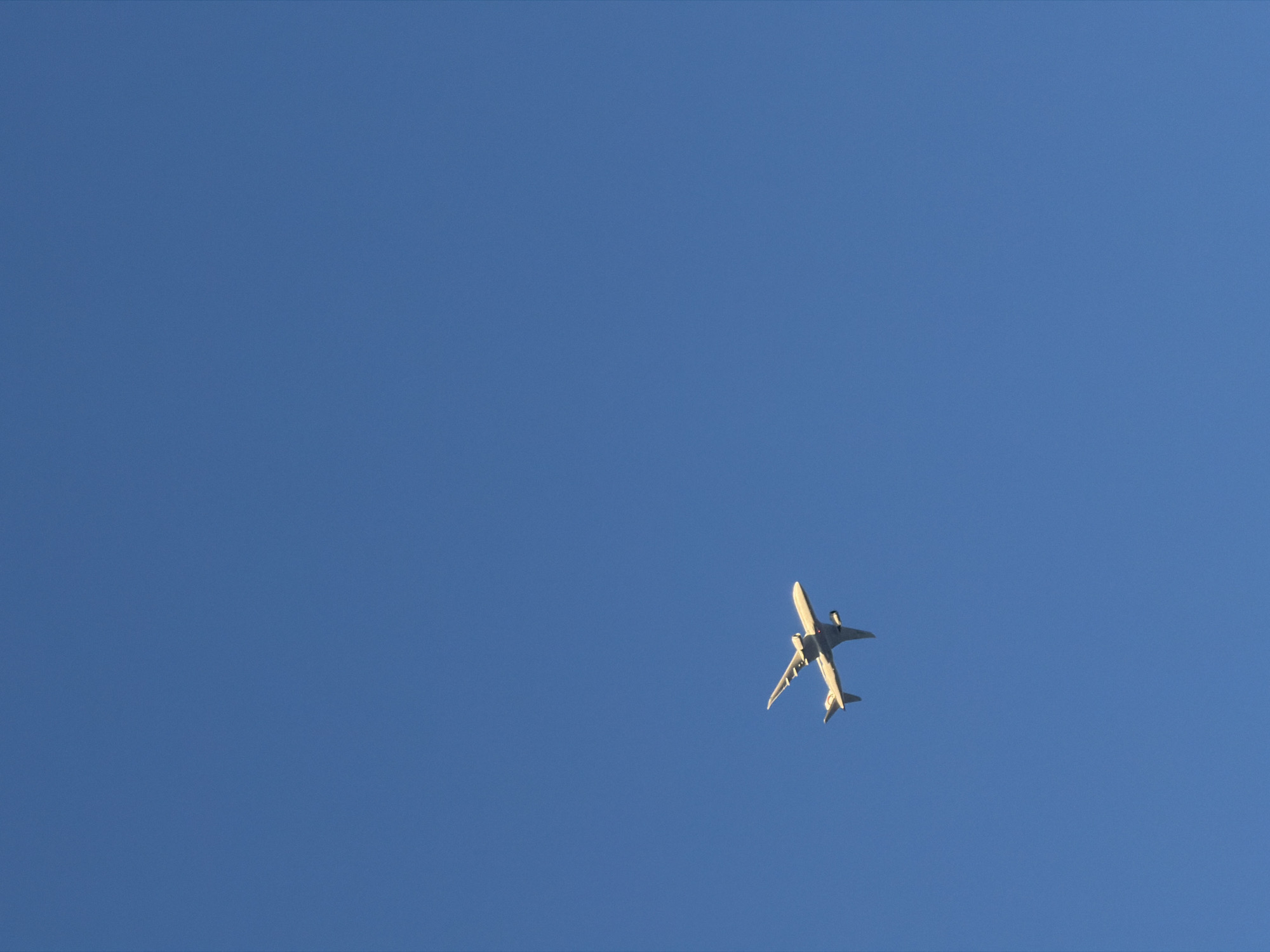 Commercial airplane spotted flying over Montreal at night