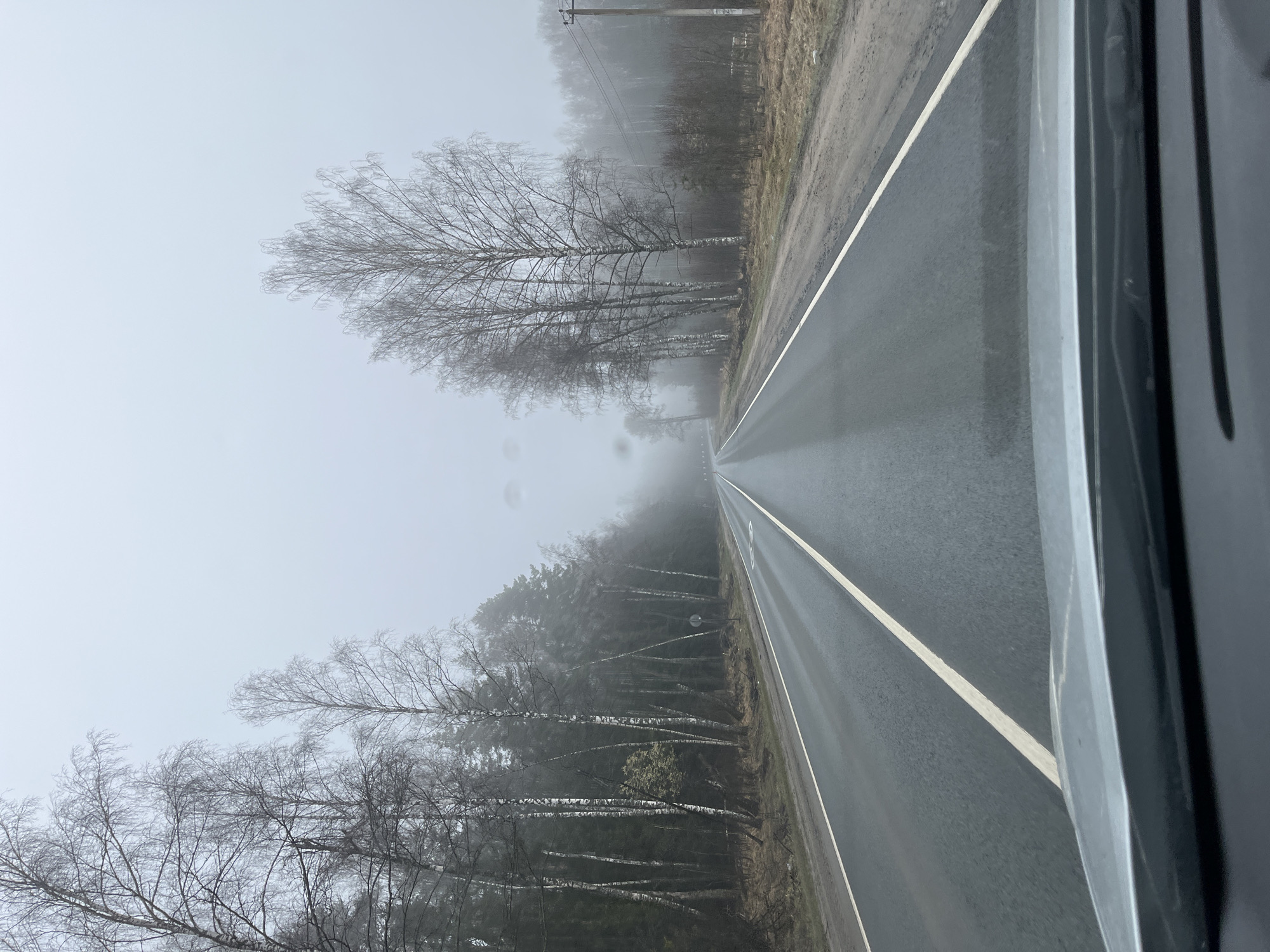 Vehicle travels foggy morning road in Slobodka, Russia