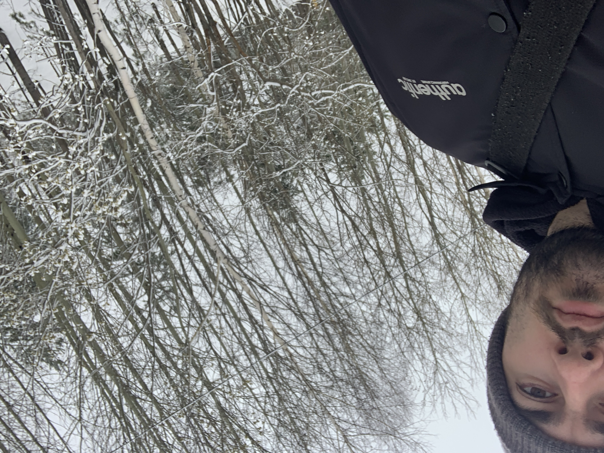Man documents snowy winter walk in Chaikovsky forest
