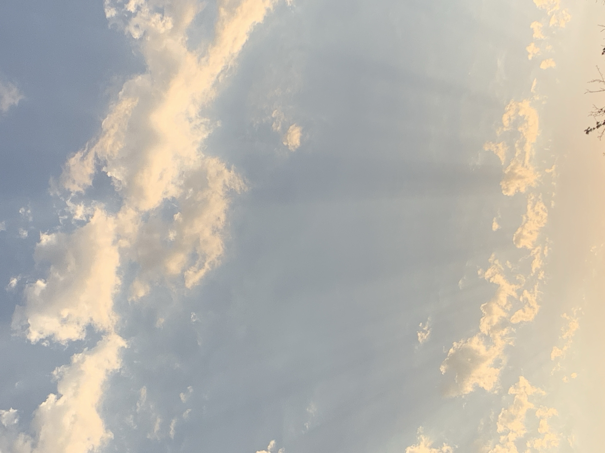 Crepuscular rays and a perched bird over Tashkent