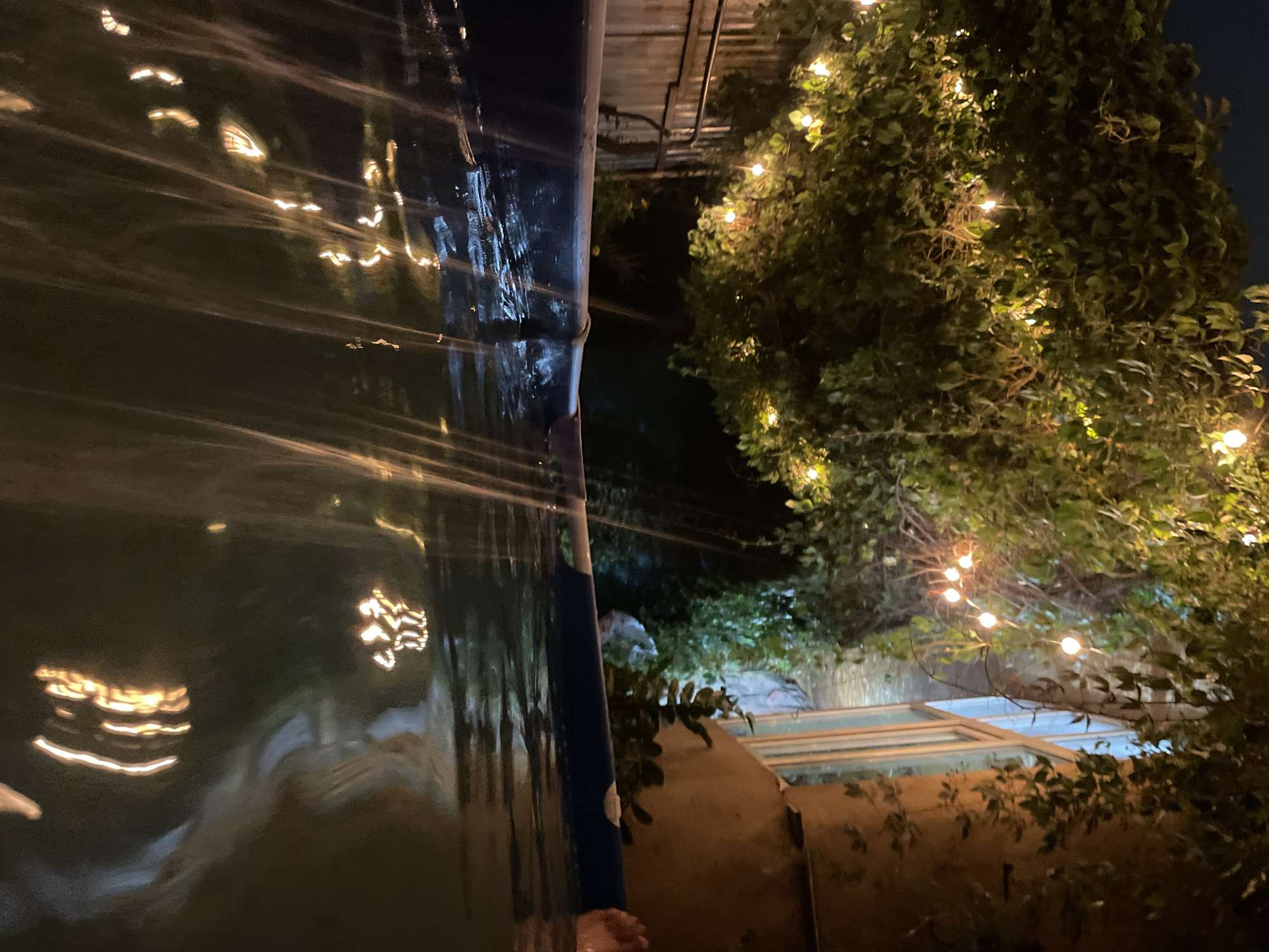 Backyard pool night in Almaty, with pets and string lights
