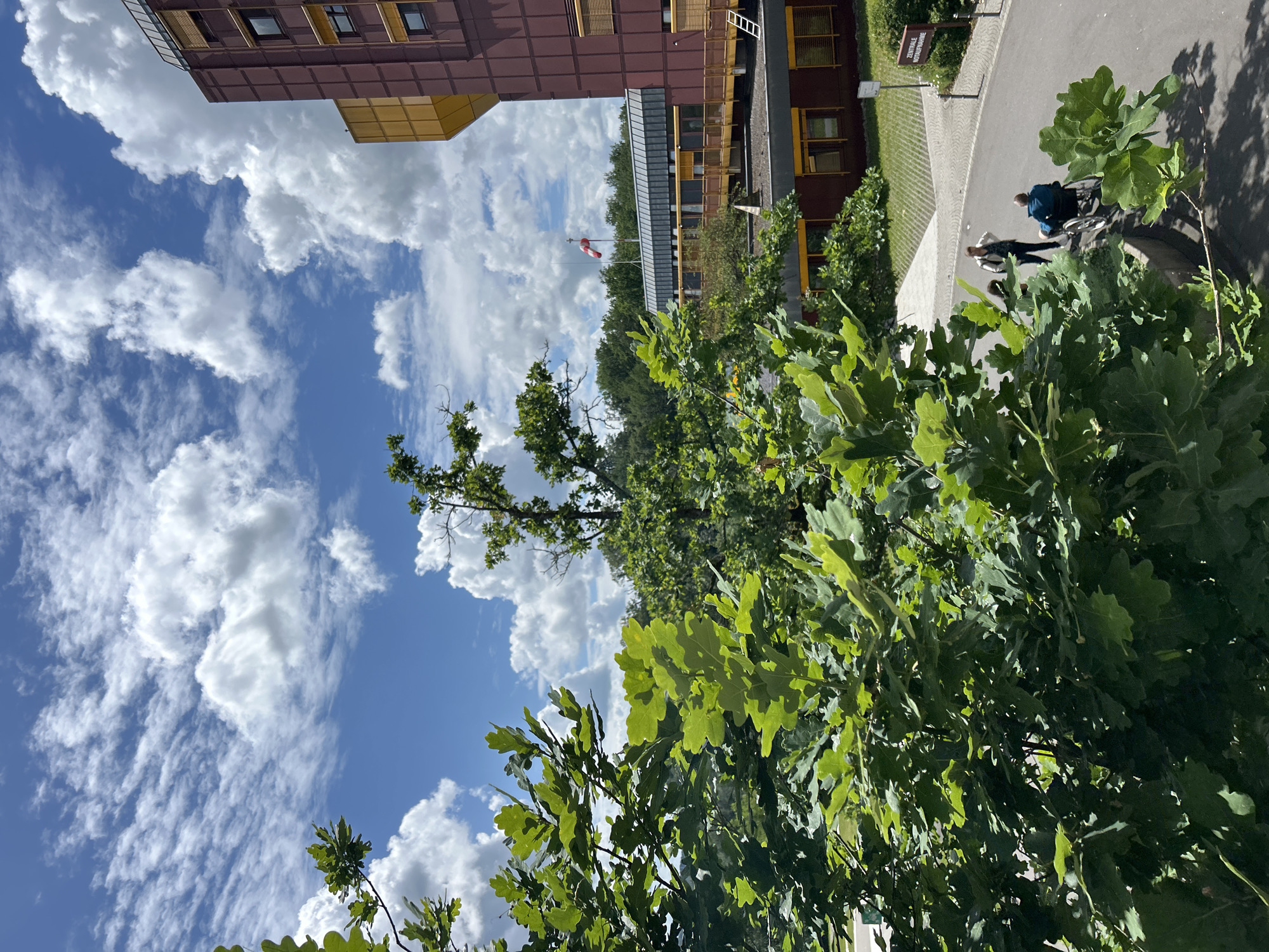 Campus scenes documented in sunny Gummersbach morning