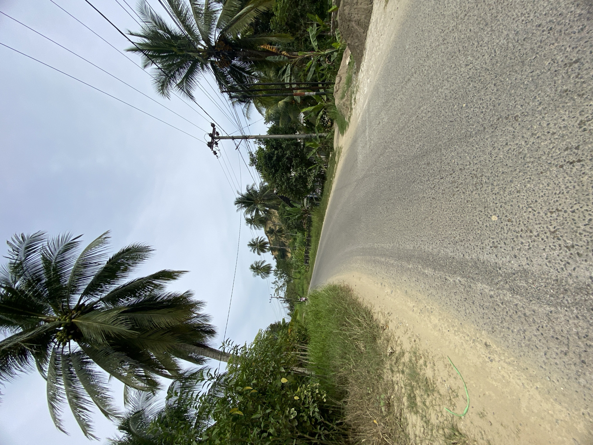 Everyday street life along a tree-lined road in Lhokseumawe