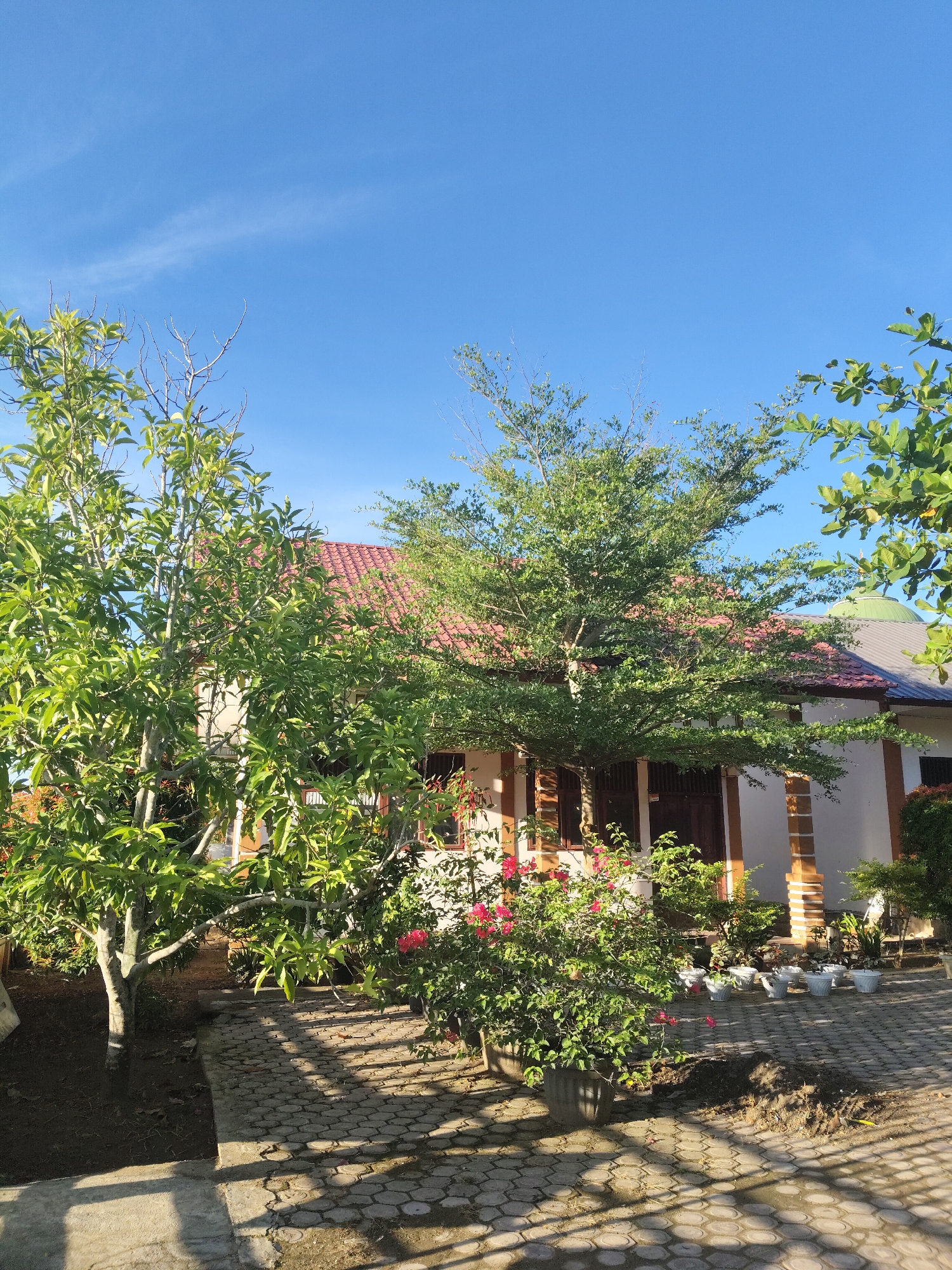 Keudejungkagajah, Indonesia