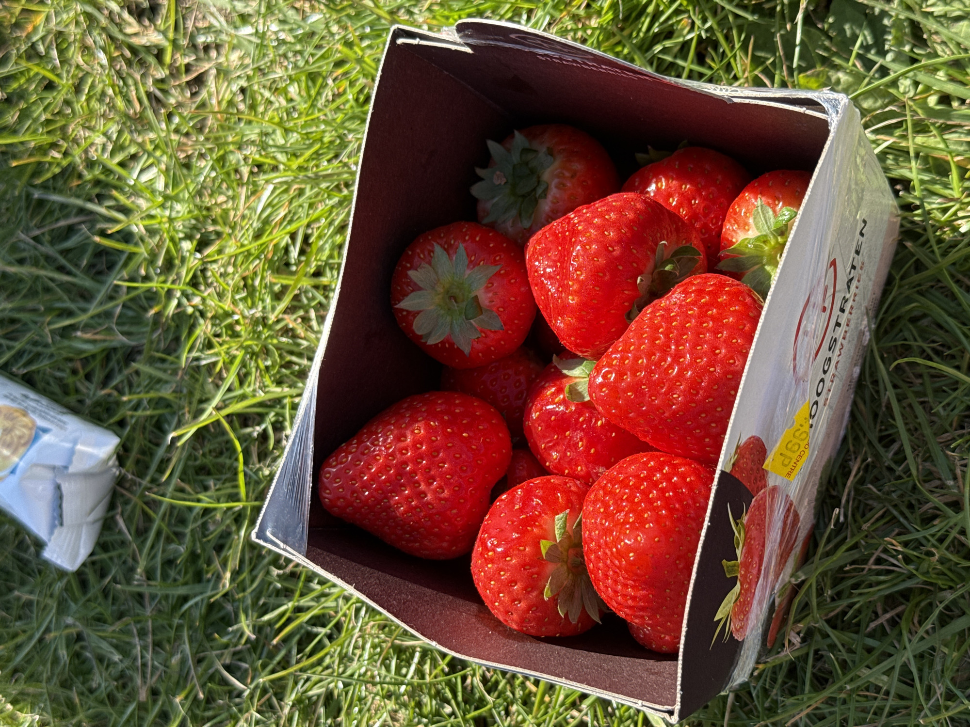 Strawberry box spotted on London grass