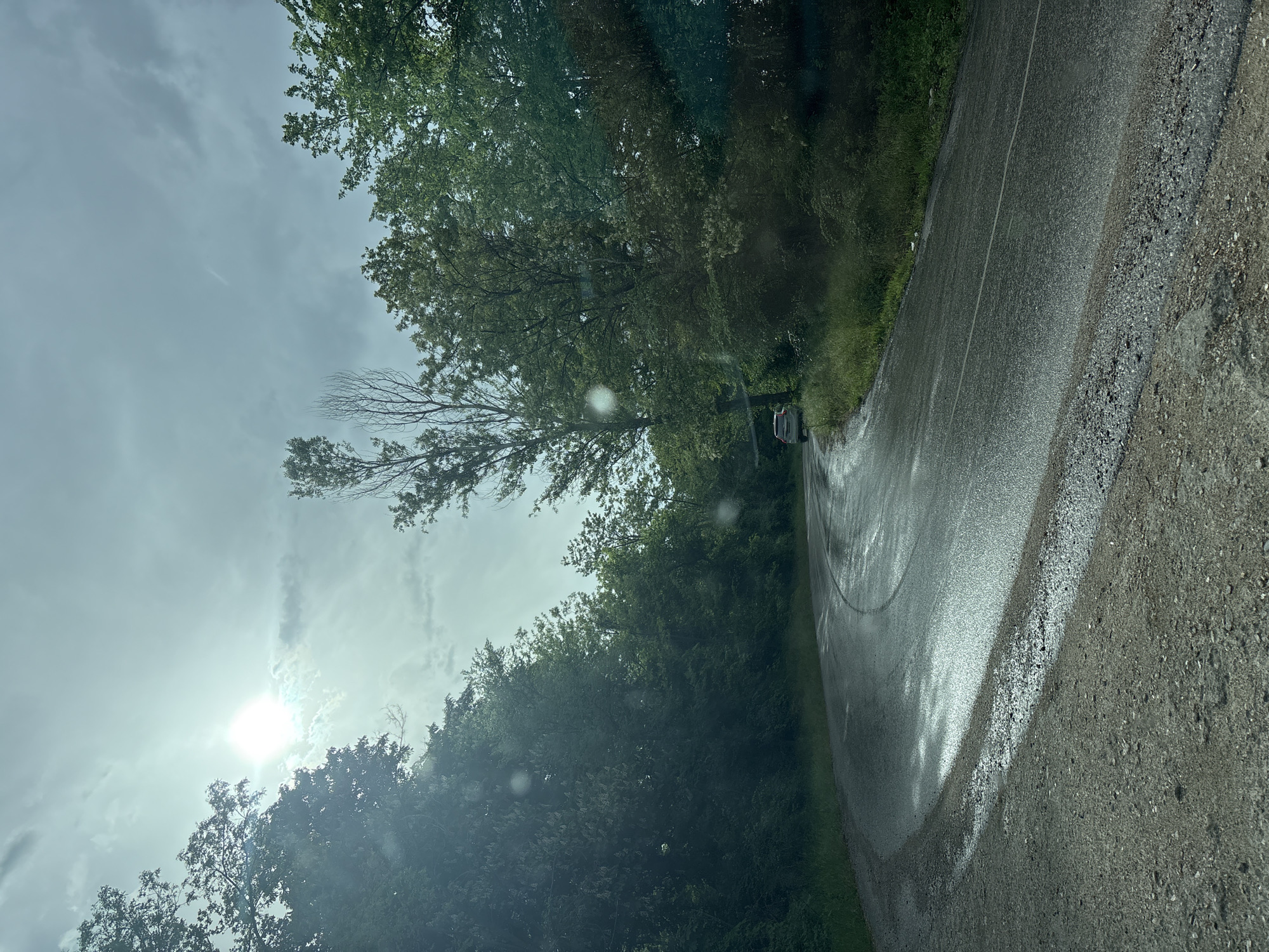Wet roads and stone memorials documented in Blagoevgrad