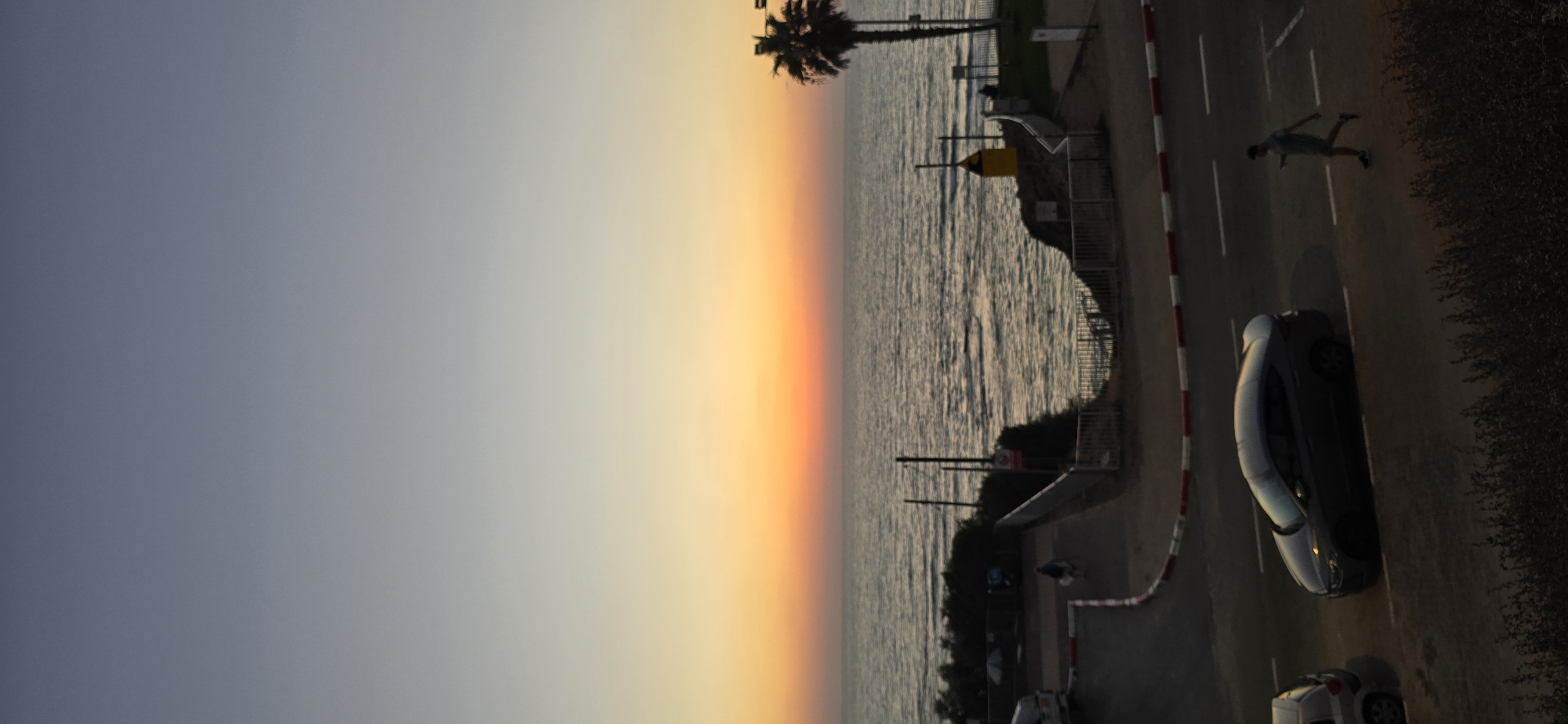 Cats and coastal light at sunset in Bat Yam