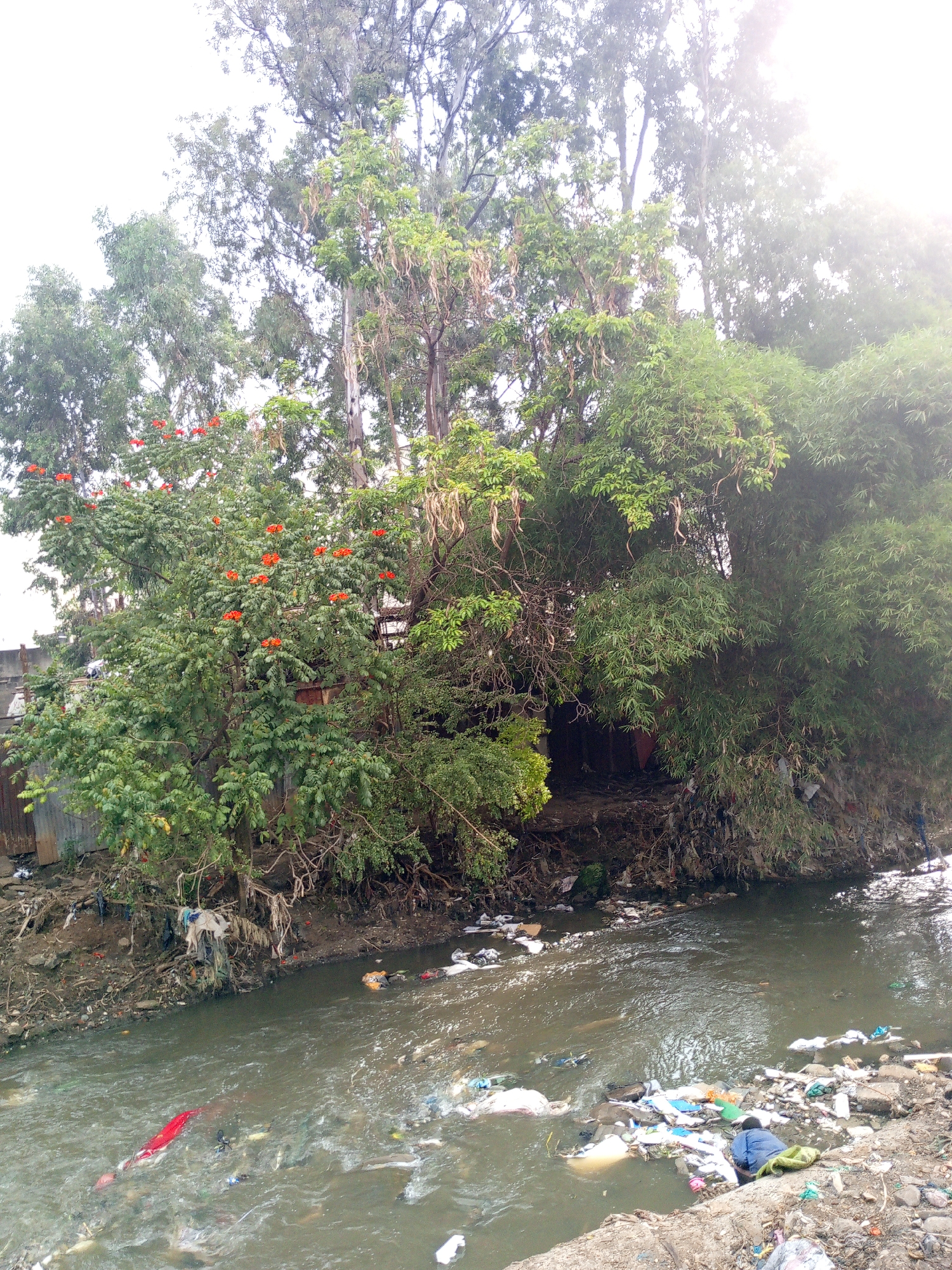 Polluted river filled with debris observed in Nairobi