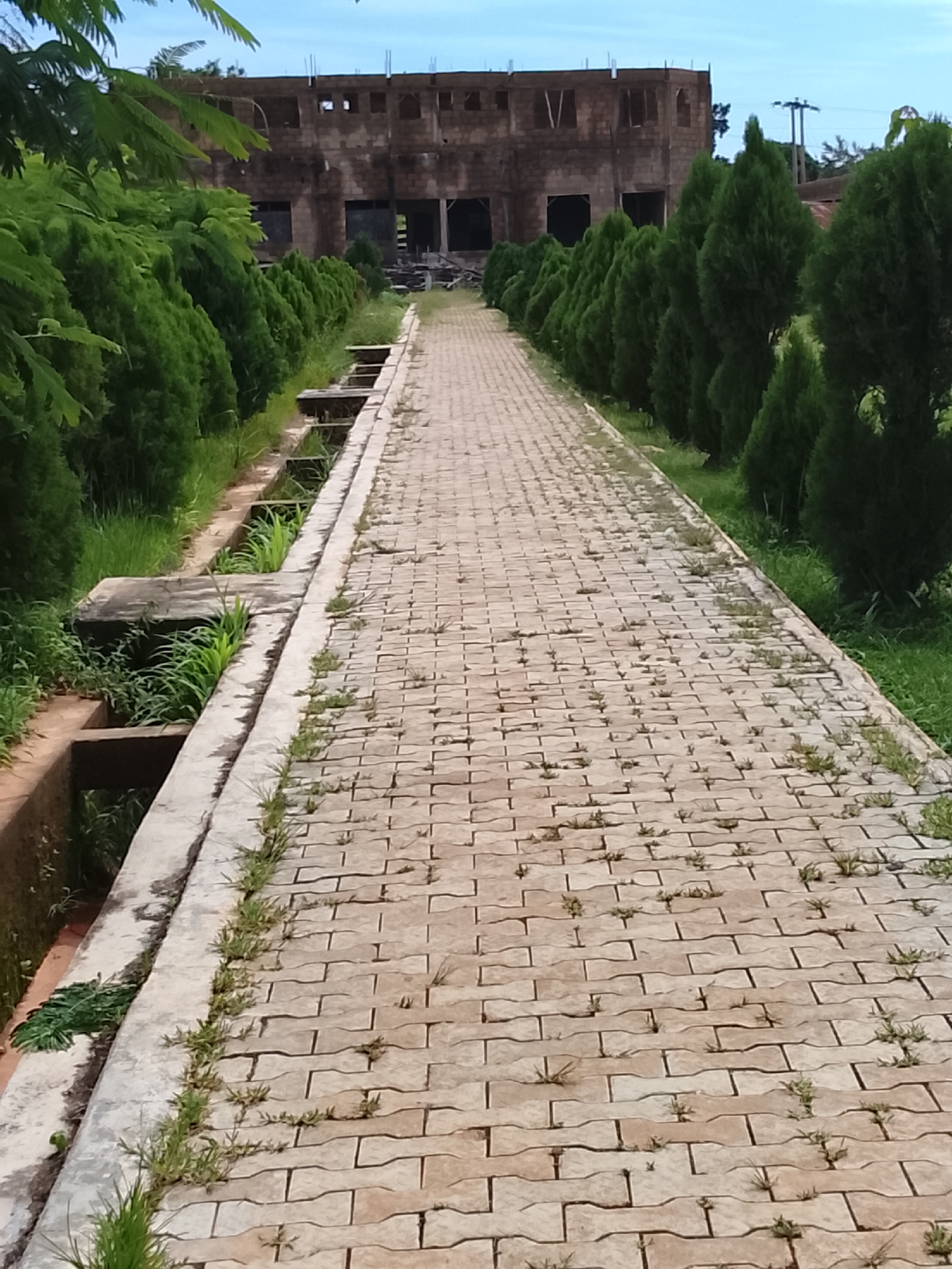 Buildings, greenery, and vehicles in Gwong, Nigeria