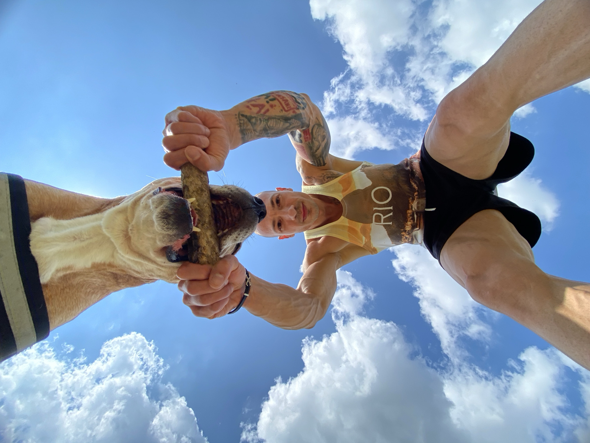 Man plays tug-of-war with dog in Pleven, Bulgaria