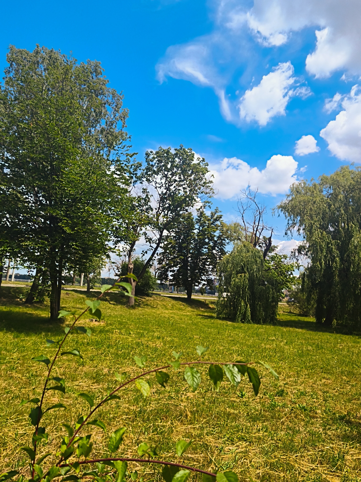Sunny morning along Ternopil's waterfront parks and gardens