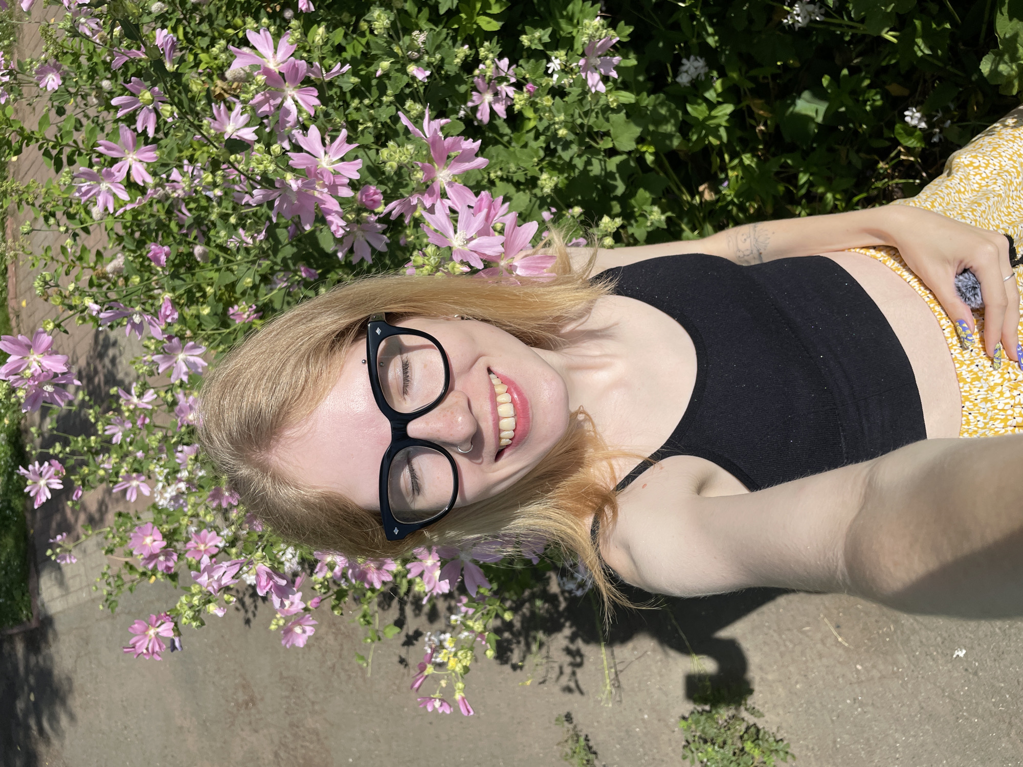 Sunny morning among pink mallow flowers in Izhevsk