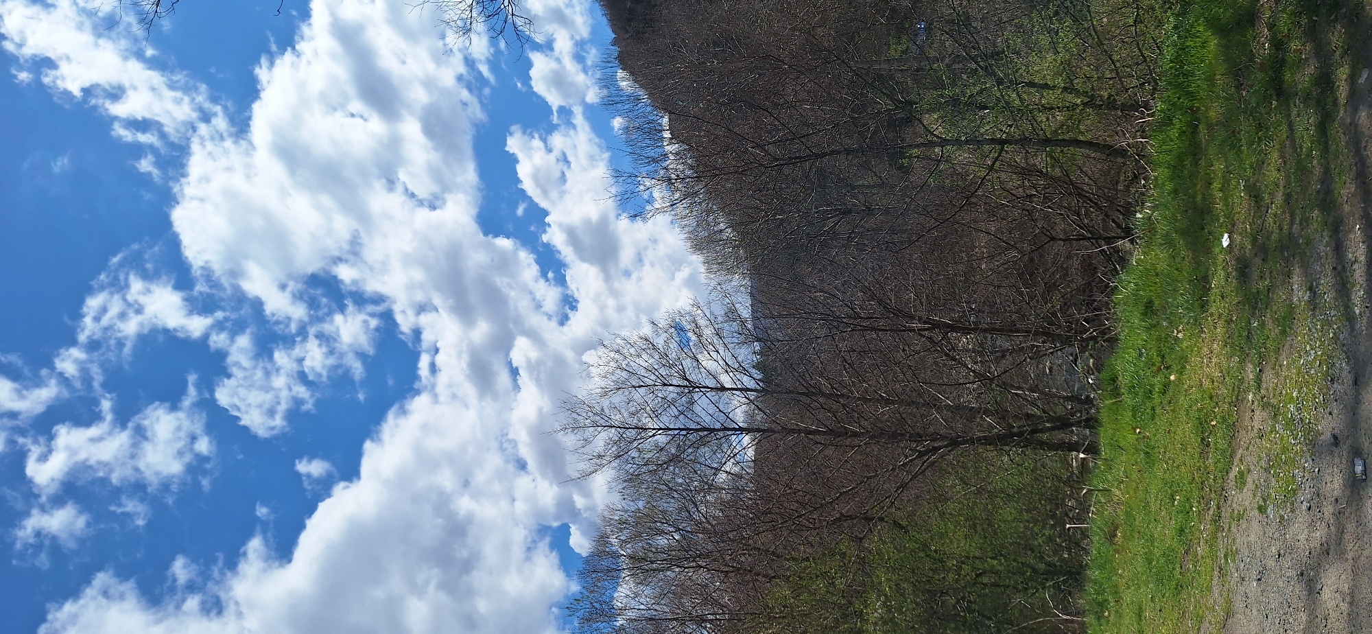 Spring mountain roadside scenery documented in Rila, Bulgaria