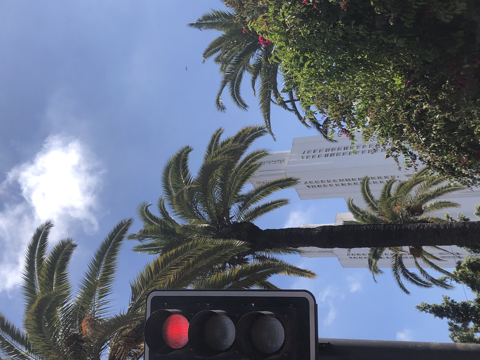 Street scenes captured from moving vehicle in Casablanca
