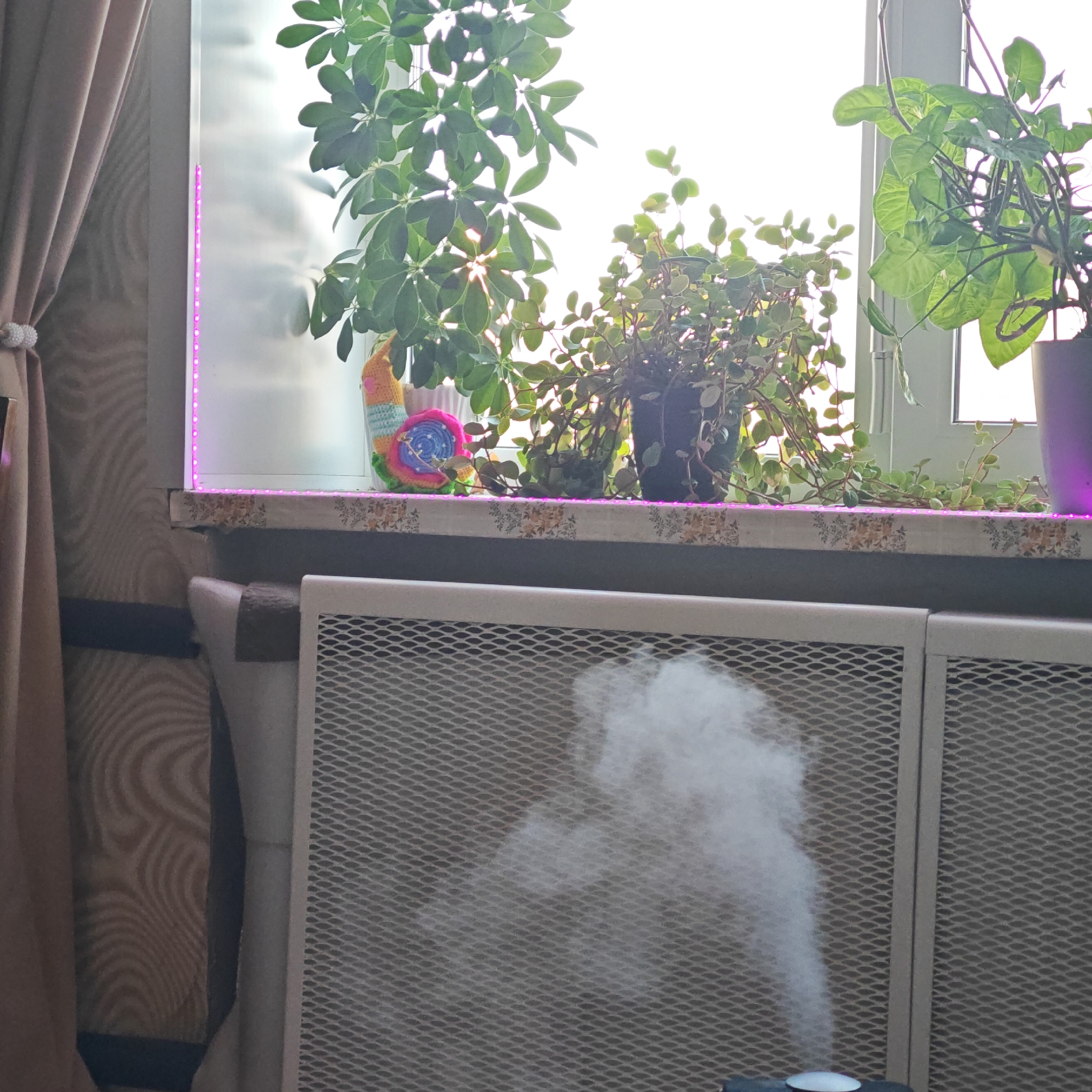 Morning home scenes captured in Russian household