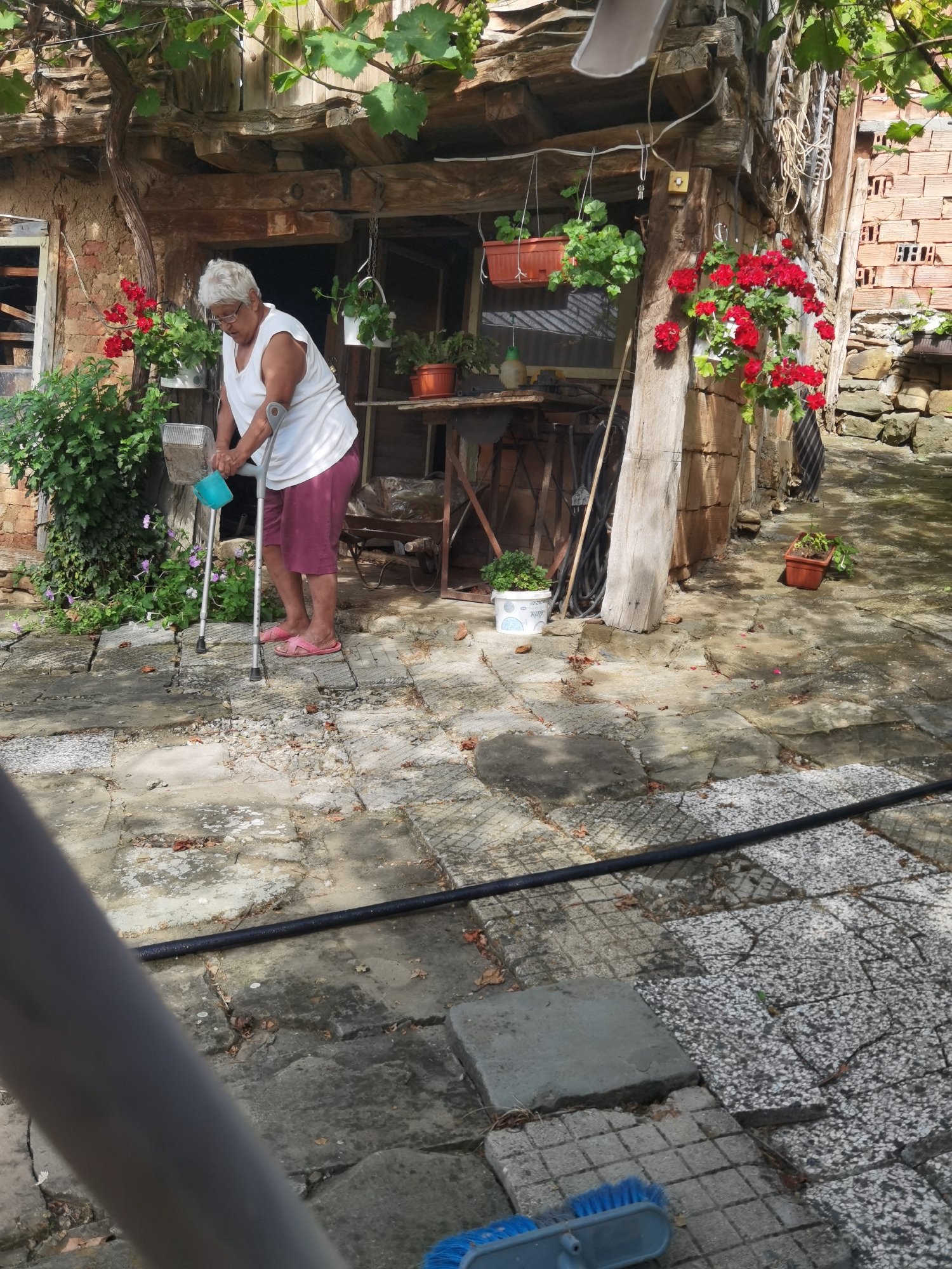 Slow morning in a Bulgarian village courtyard