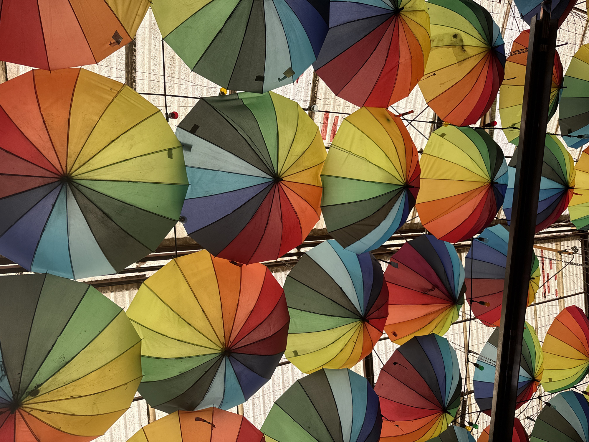 Rainbow umbrella canopy shades a lively Mexico City dining spot