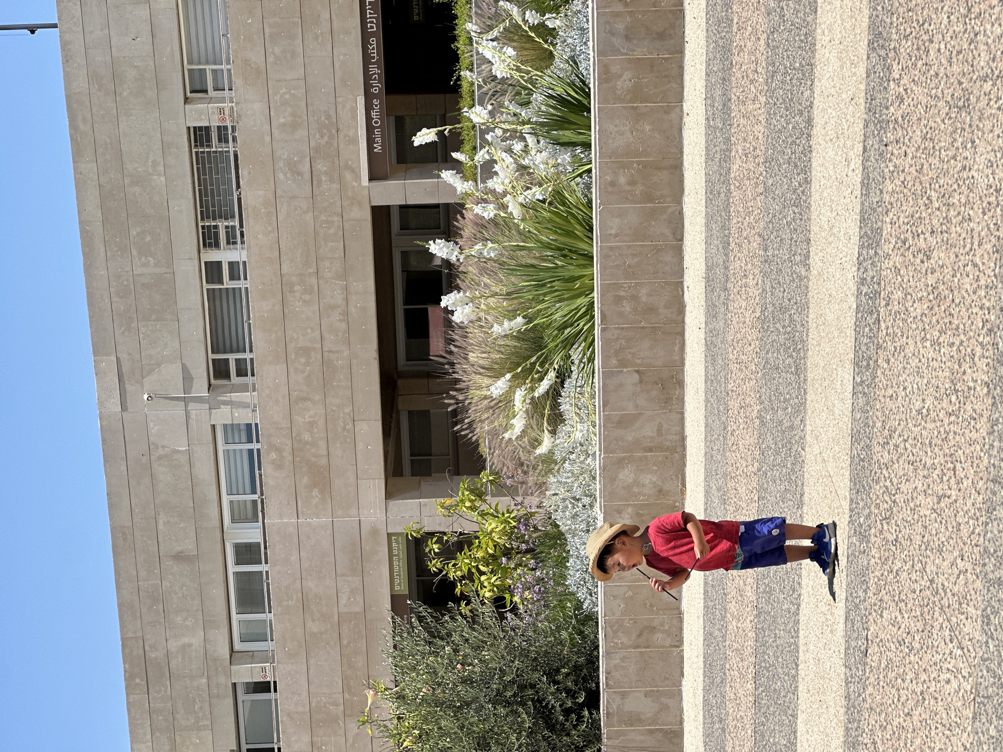 Stone sculptures and street scenes at a public space in al-Eizariya